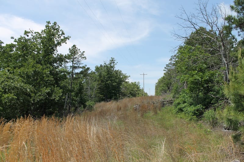 Indian Ridge – Phase II Tract 29 photo 3
