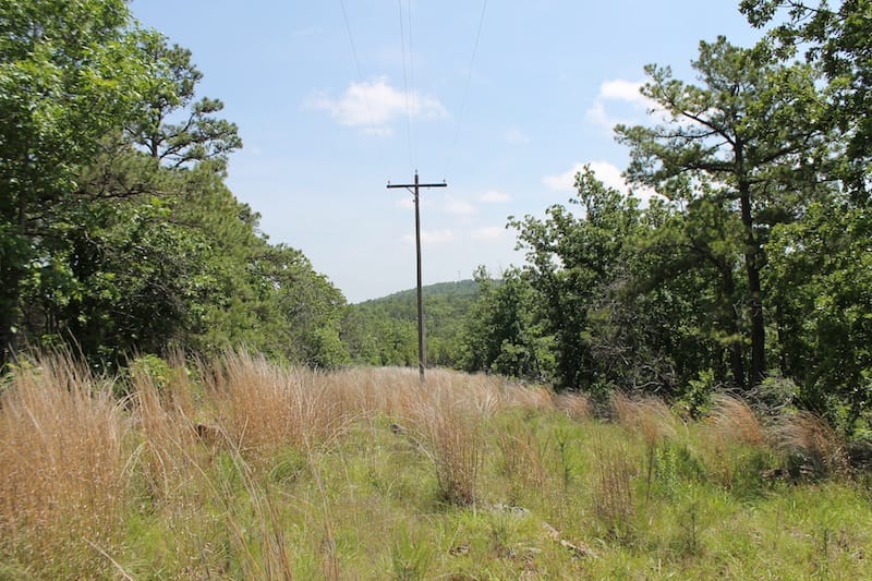 Indian Ridge – Phase II Tract 29 photo 5