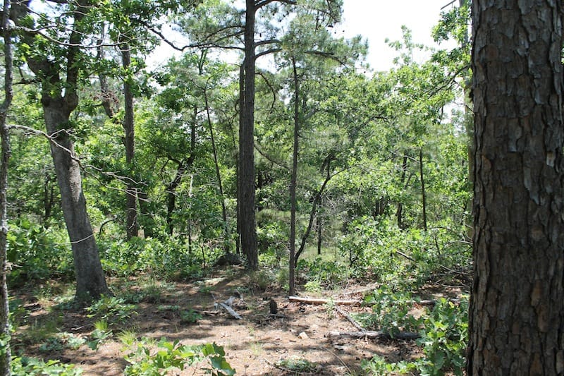Indian Ridge – Phase II Tract 29 photo 6