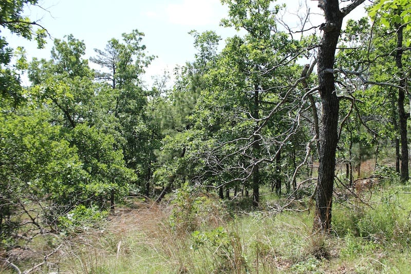 Indian Ridge – Phase II Tract 29 photo 8
