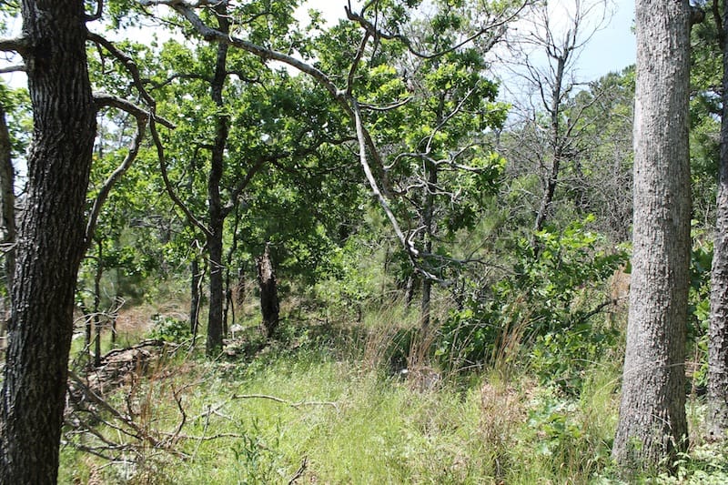 Indian Ridge – Phase II Tract 29 photo 9