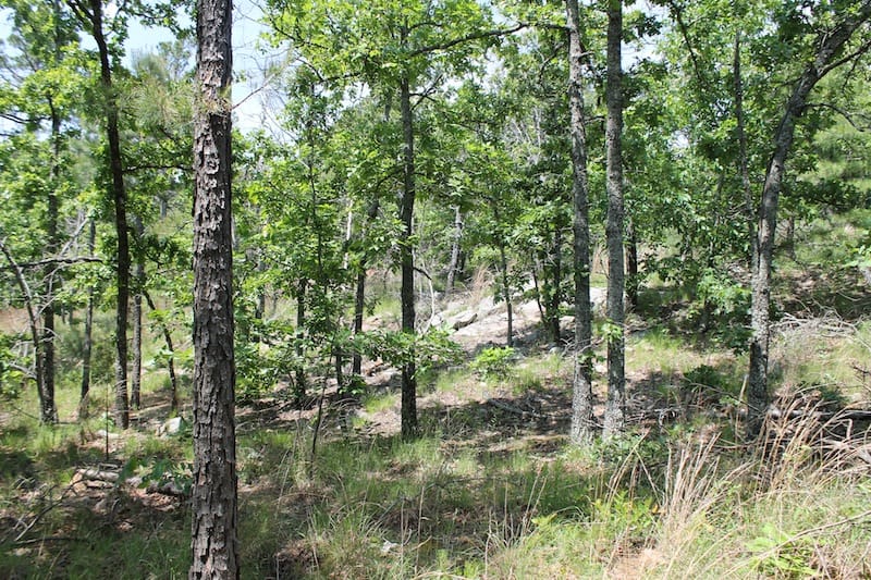 Indian Ridge – Phase II Tract 29 photo 11