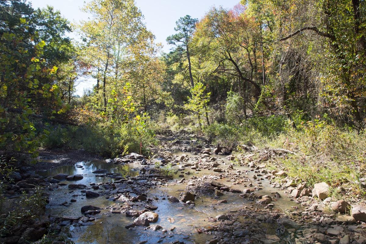 Stone Creek Phase I Tract 143 photo 8
