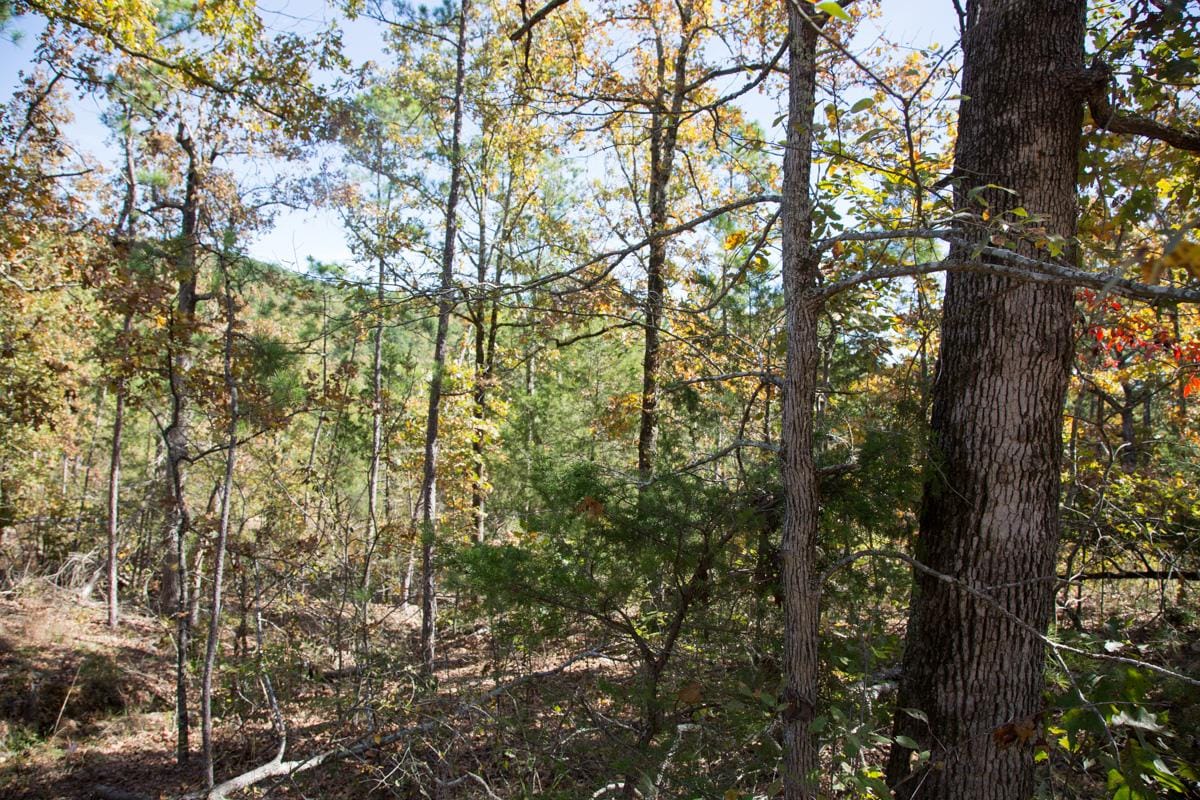 Stone Creek Phase I Tract 143 photo 10
