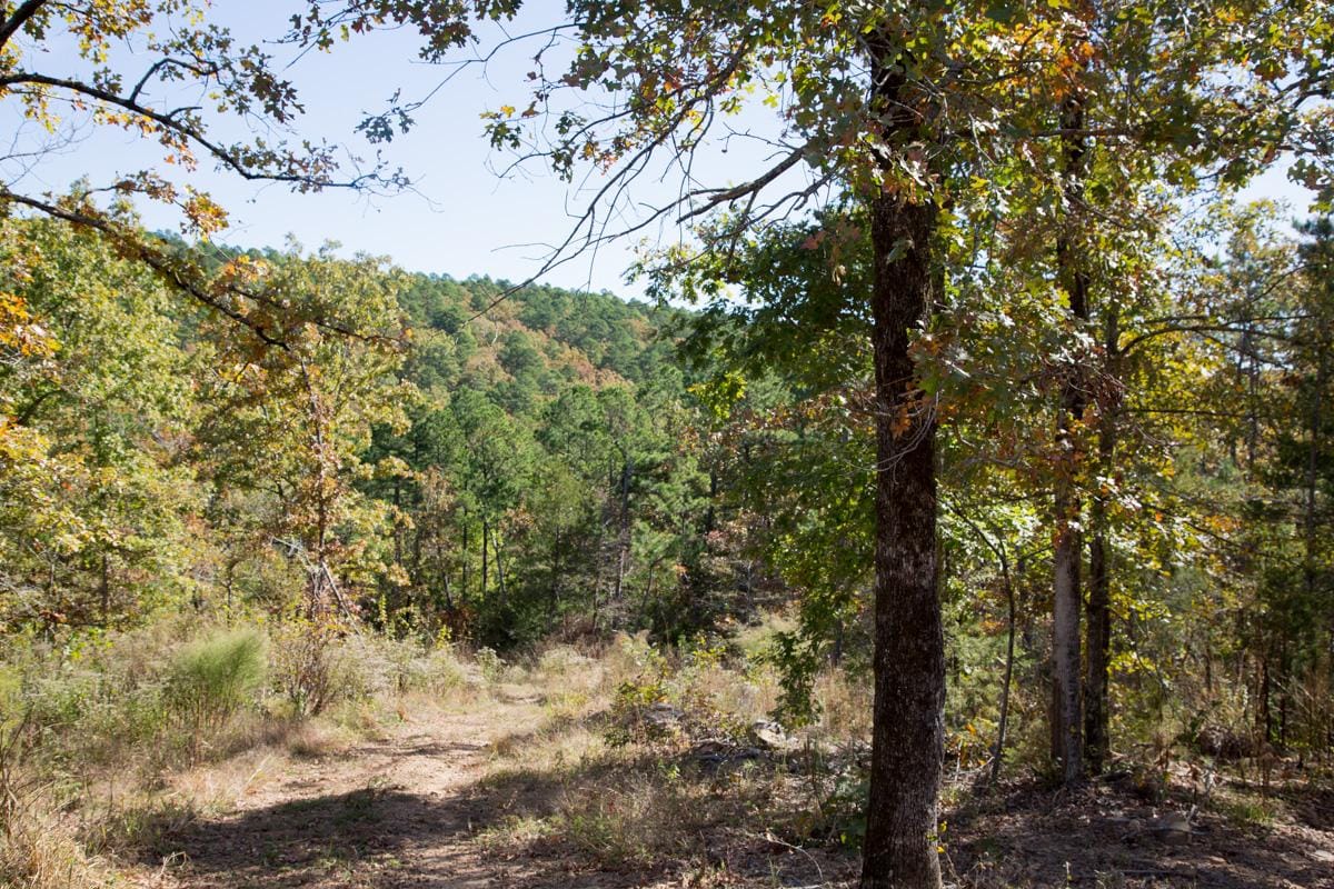 Stone Creek Phase I Tract 143 photo 11