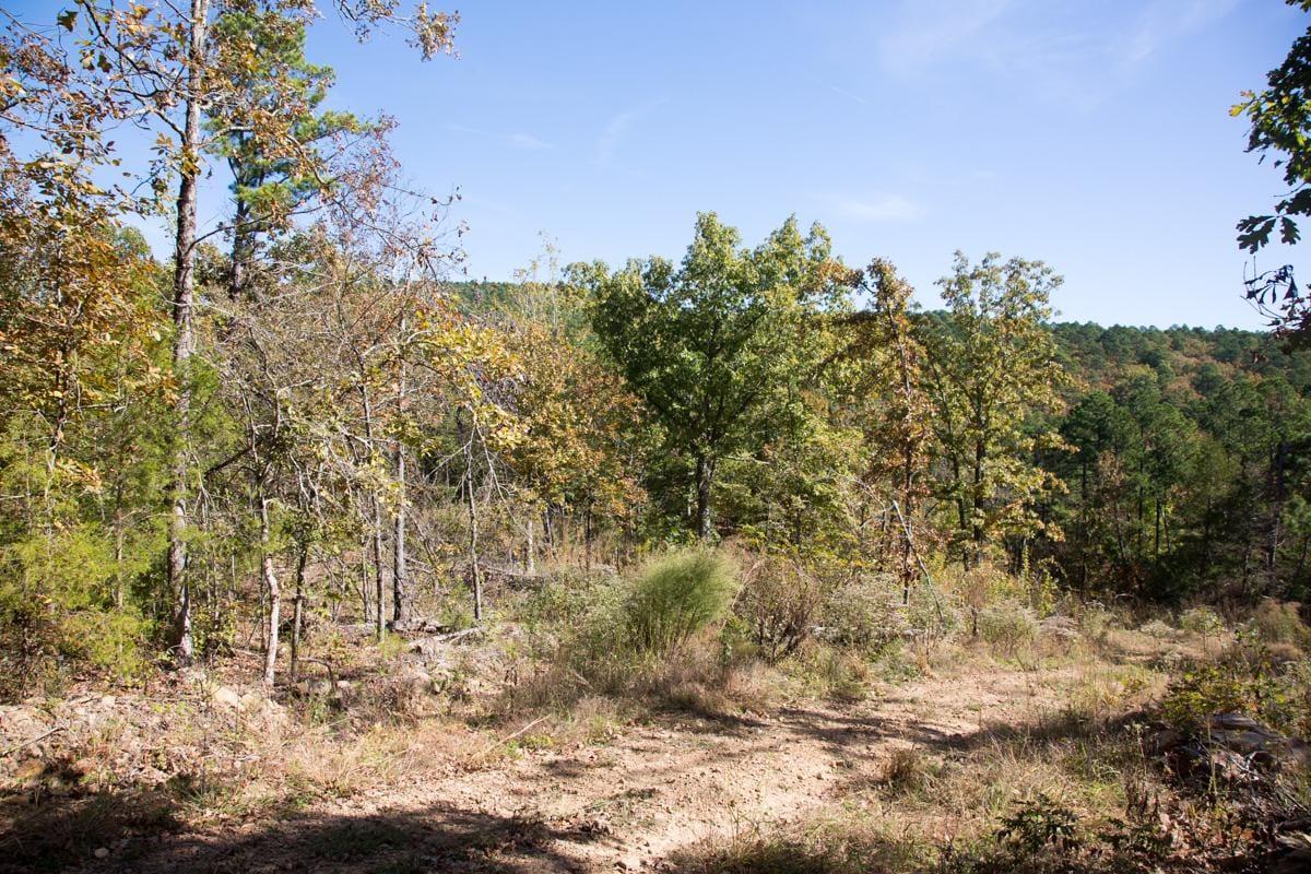 Stone Creek Phase I Tract 143 photo 12