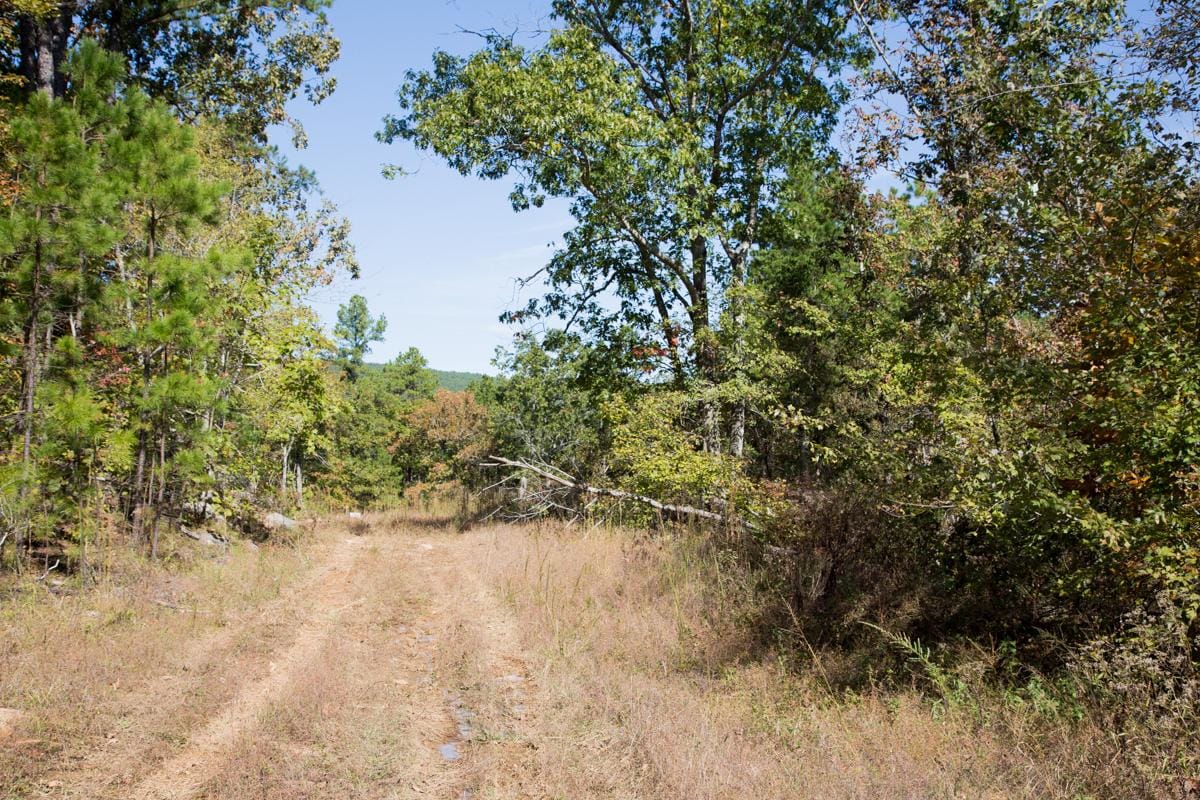 Stone Creek Phase I Tract 143 photo 2
