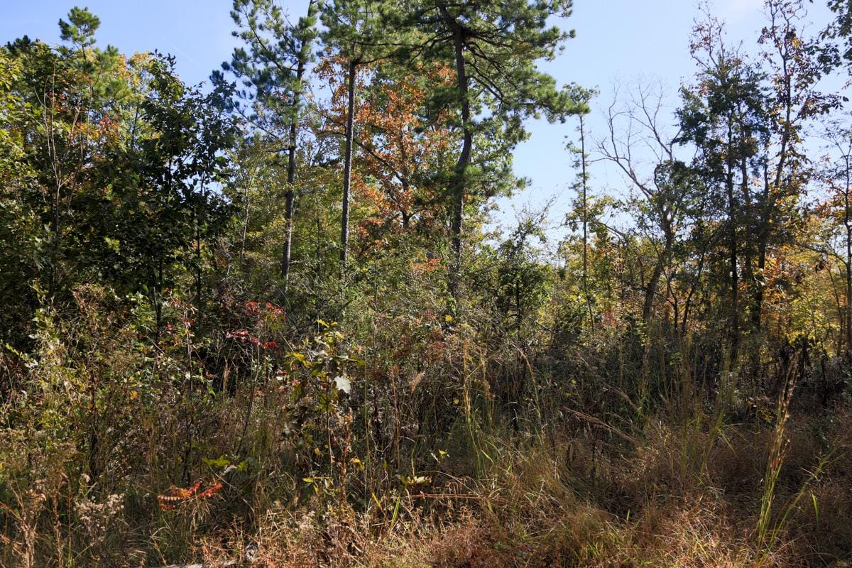 Stone Creek Phase I Tract 143 photo 15