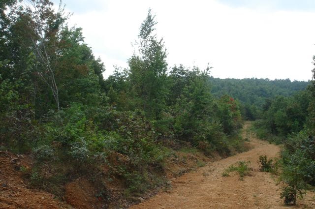 Sugartree Falls Tract 29 photo 1