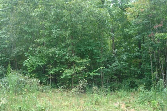 Sugartree Falls Tract 29 photo 3