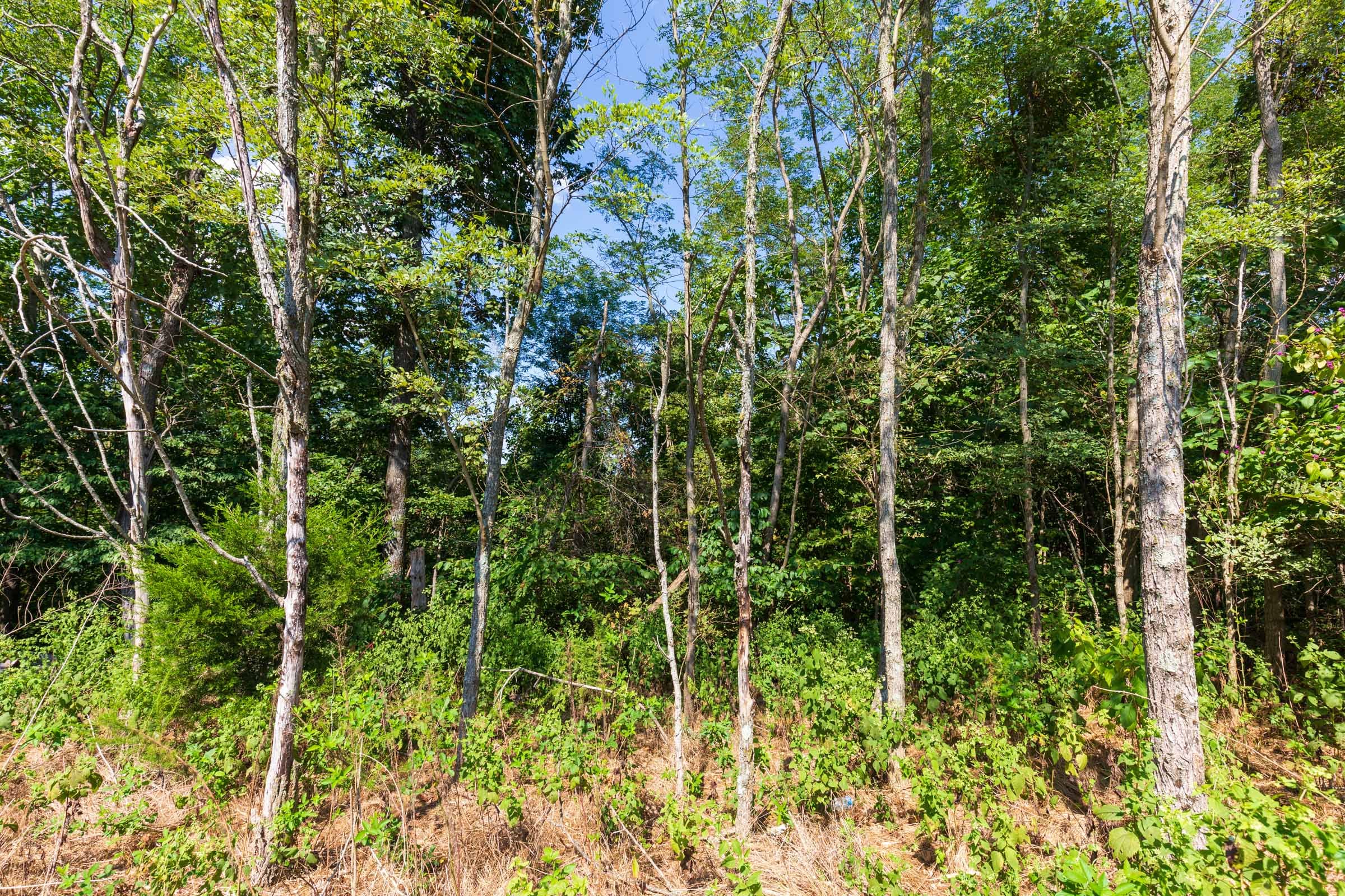 Redemption Ridge Tract 15 photo 2
