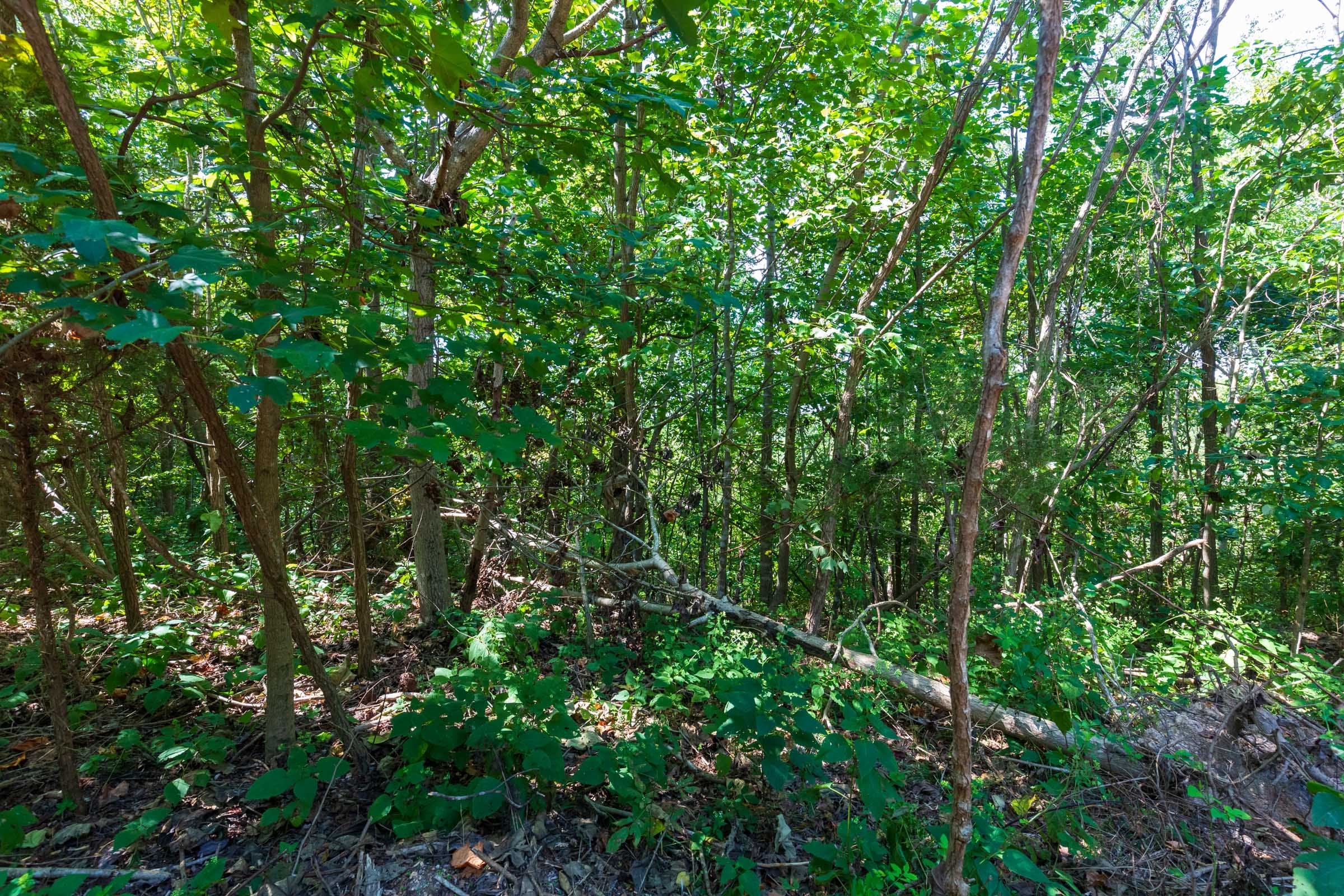 Redemption Ridge Tract 15 photo 12