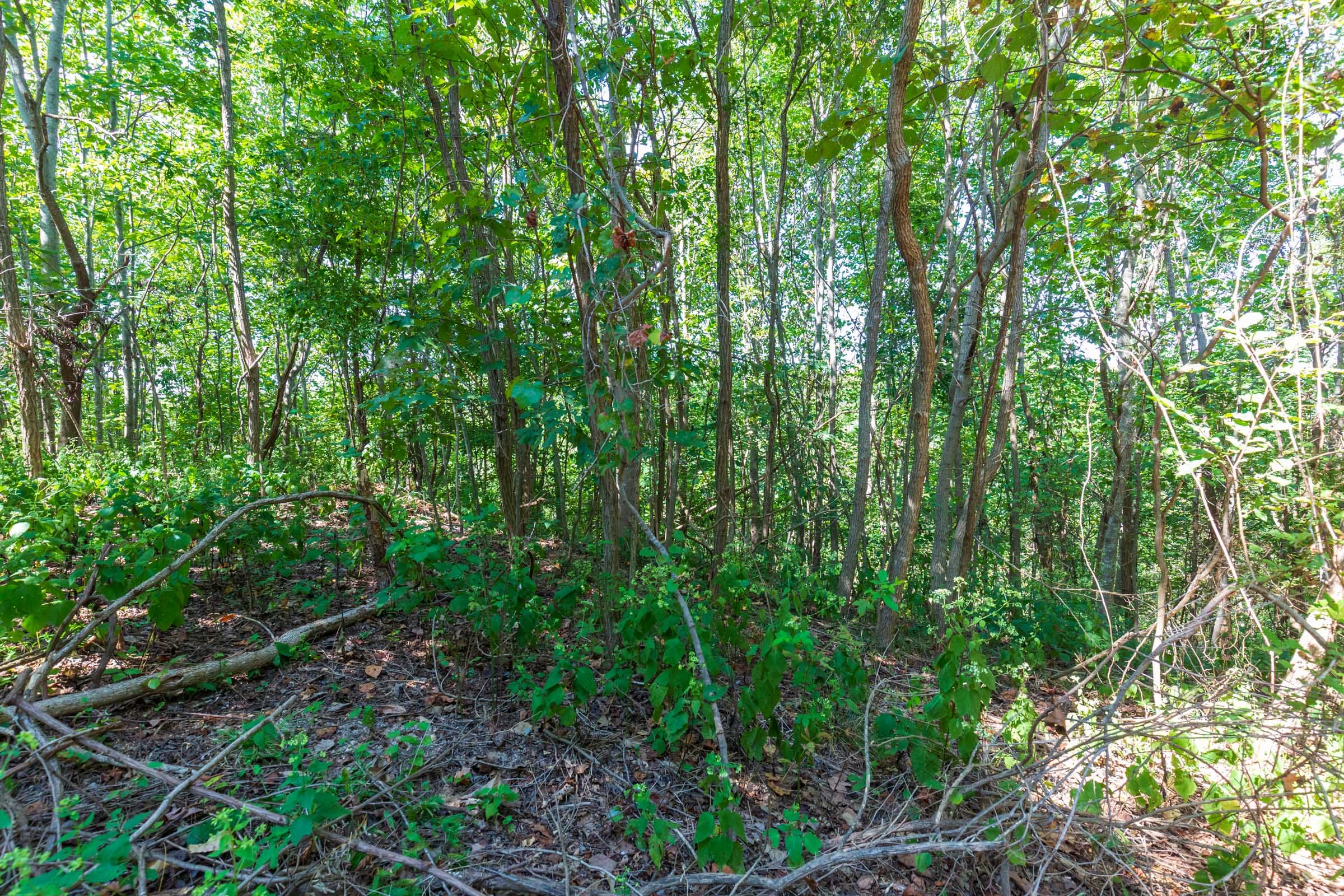 Redemption Ridge Tract 15 photo 14