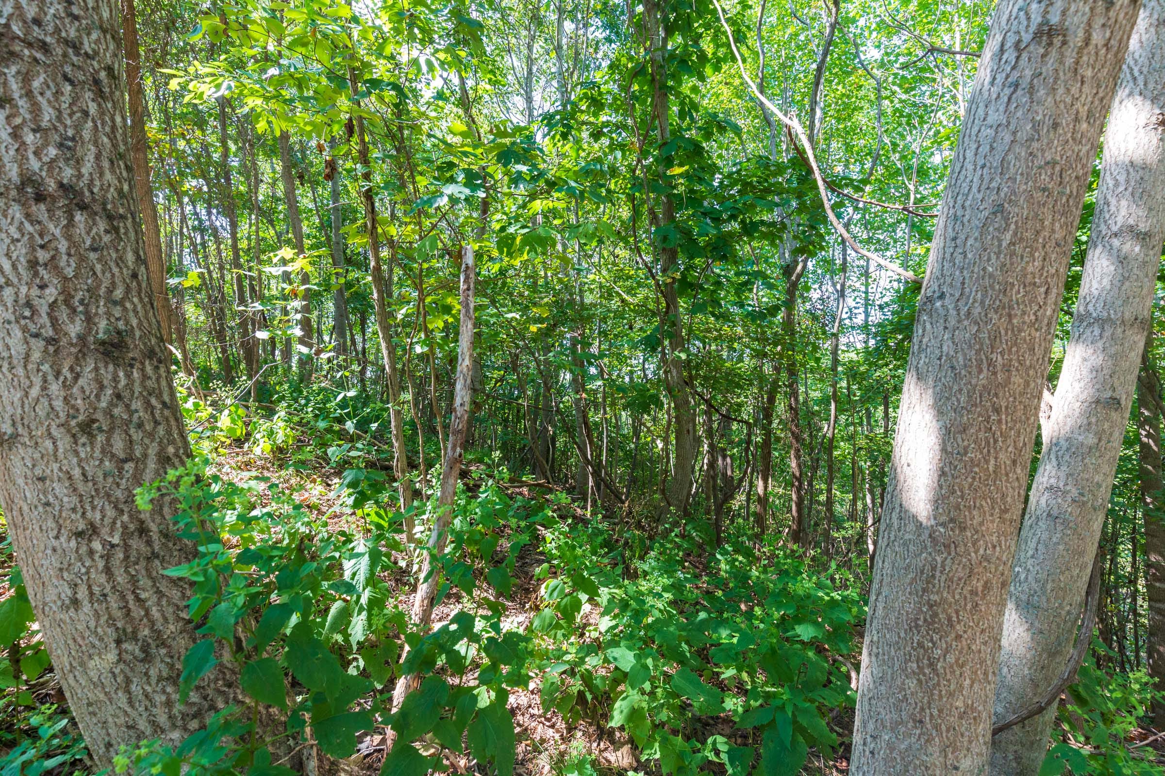 Redemption Ridge Tract 15 photo 15