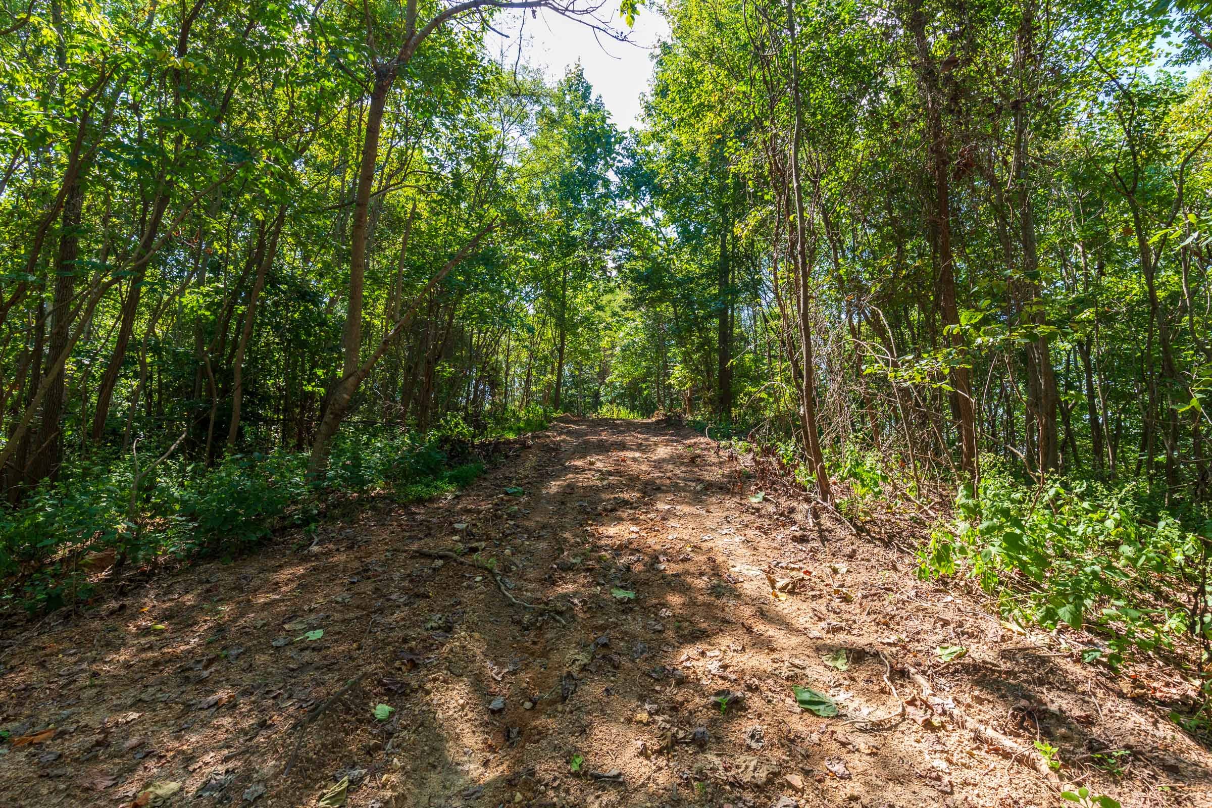 Redemption Ridge Tract 15 photo 1