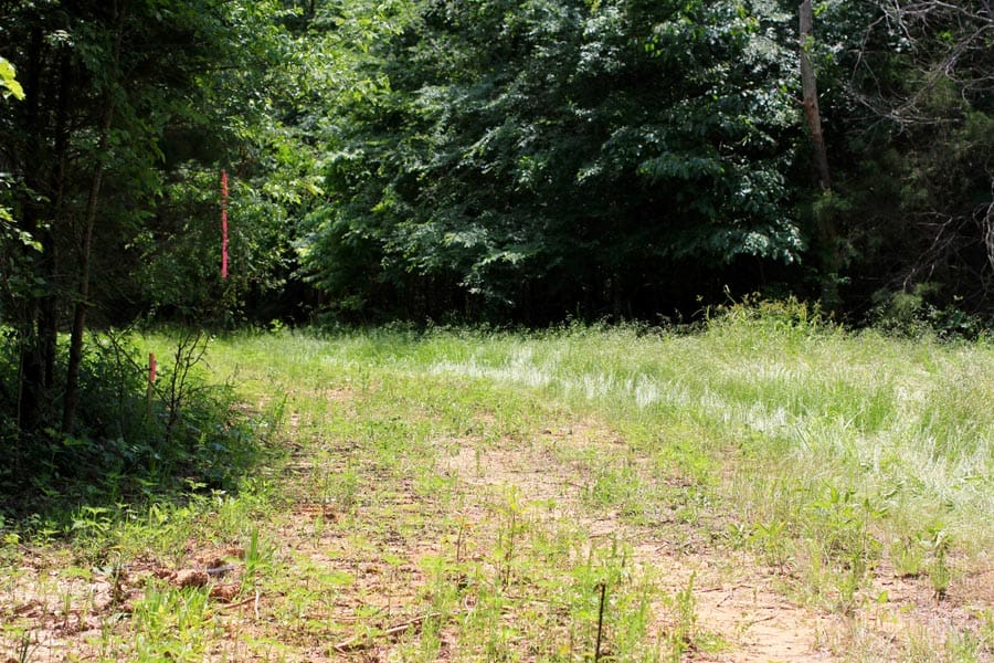 Bluebird Ranch Tract 13 photo 6