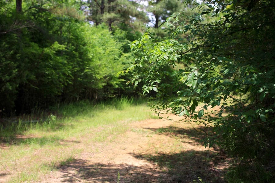 Bluebird Ranch Tract 13 photo 4
