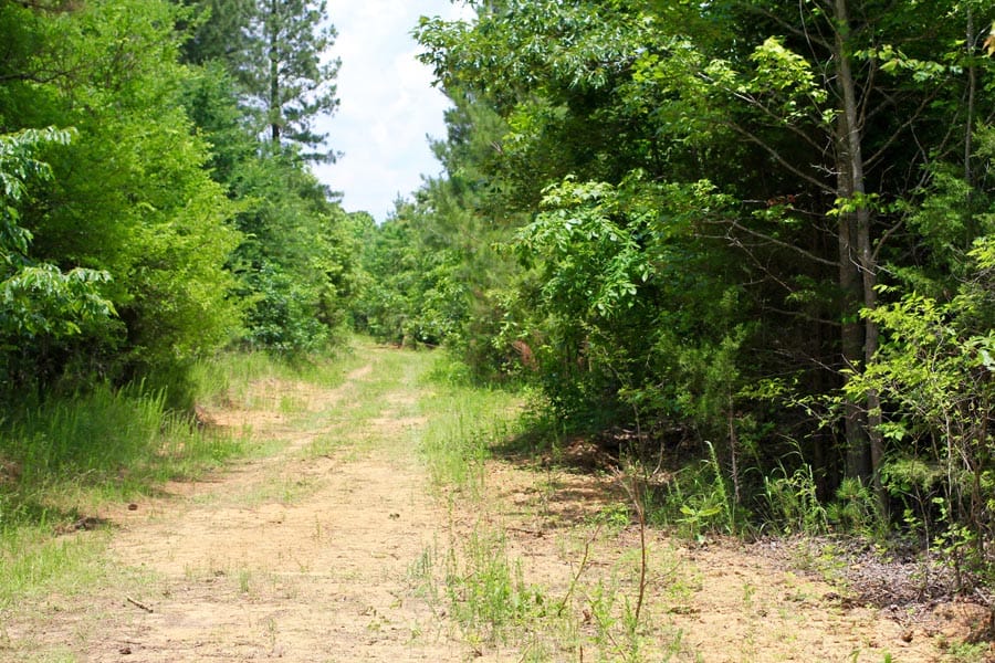Bluebird Ranch Tract 13 photo 2