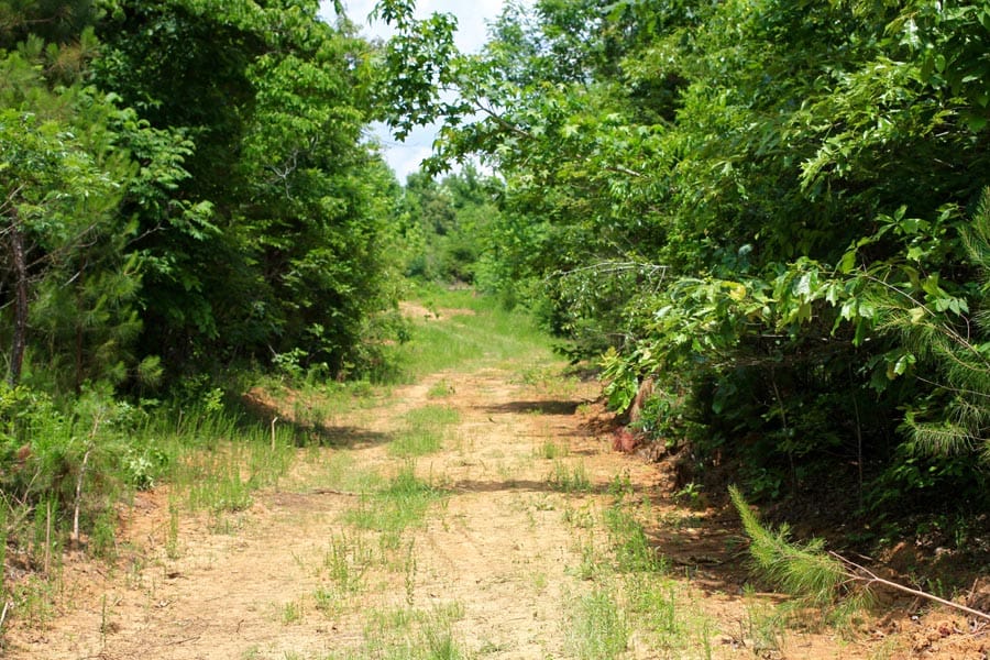 Bluebird Ranch Tract 13 photo 11