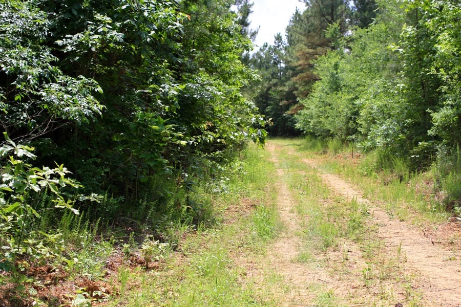 Bluebird Ranch Tract 13 photo 16