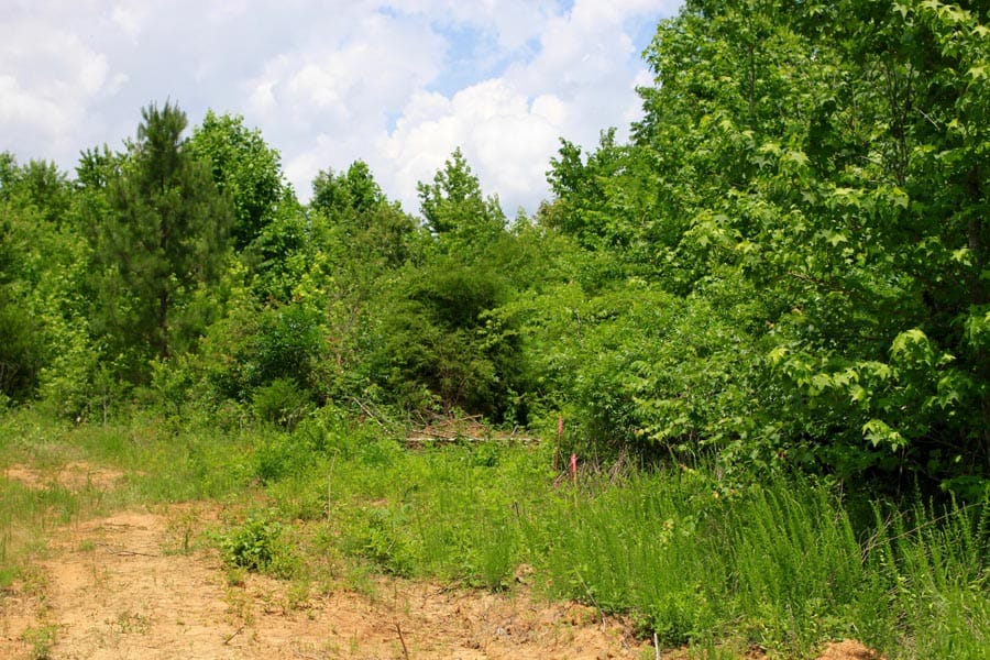 Bluebird Ranch Tract 13 photo 19