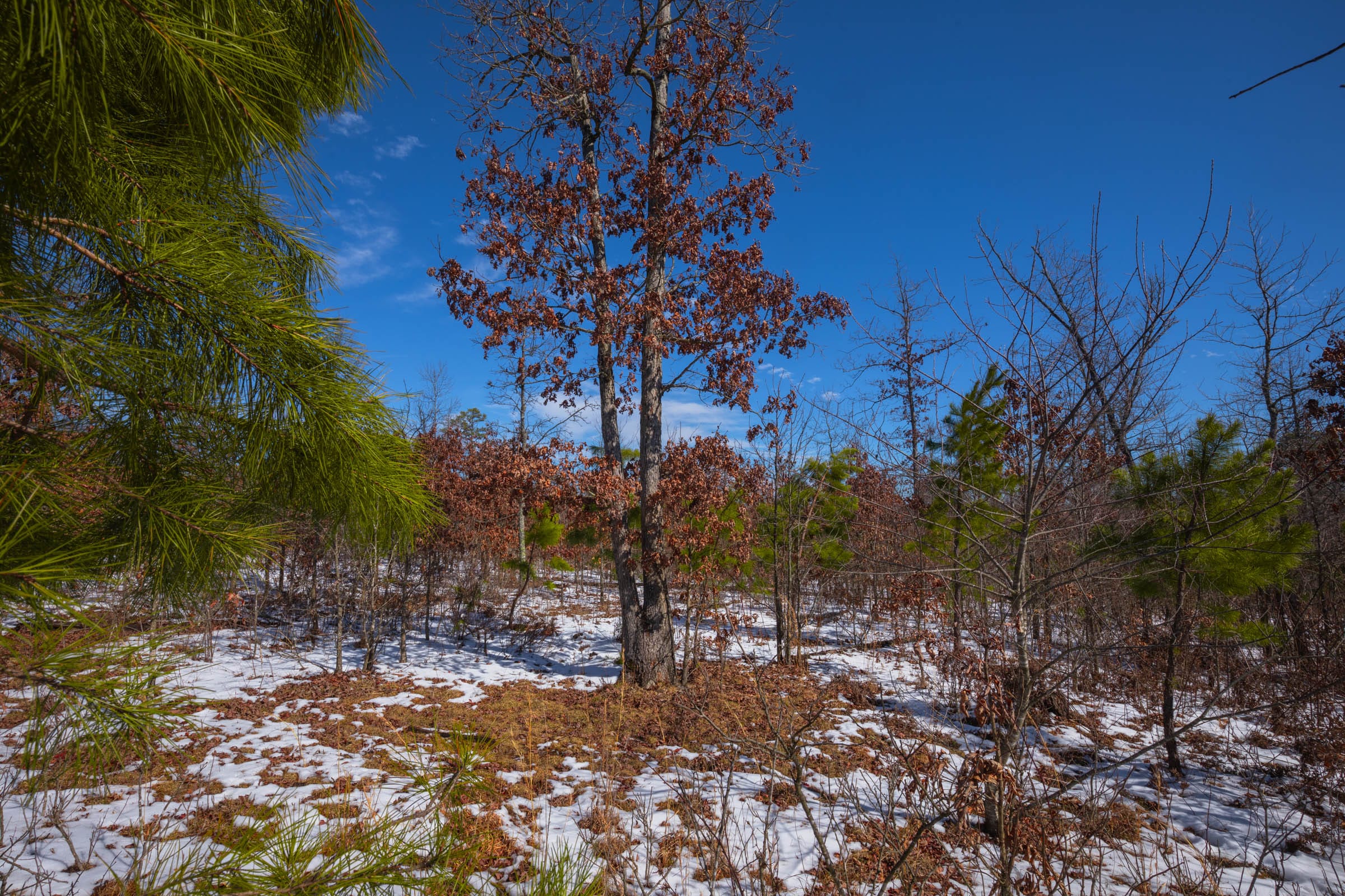 Sleepy Hollow Phase I Tract 57 photo 10