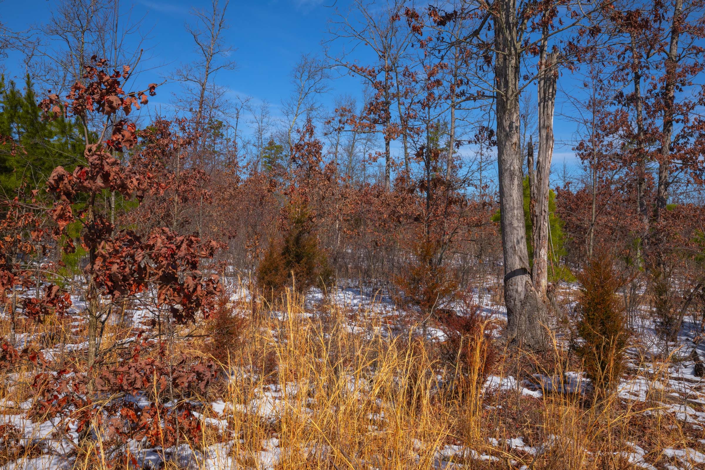Sleepy Hollow Phase I Tract 57 photo 9
