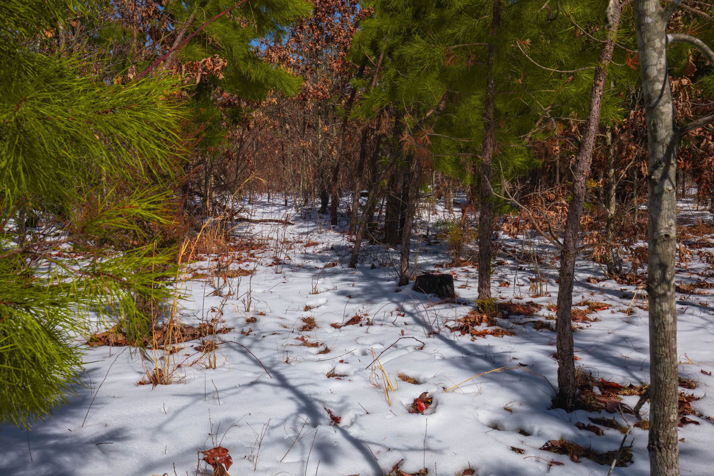 Sleepy Hollow Phase I Tract 57 photo 3