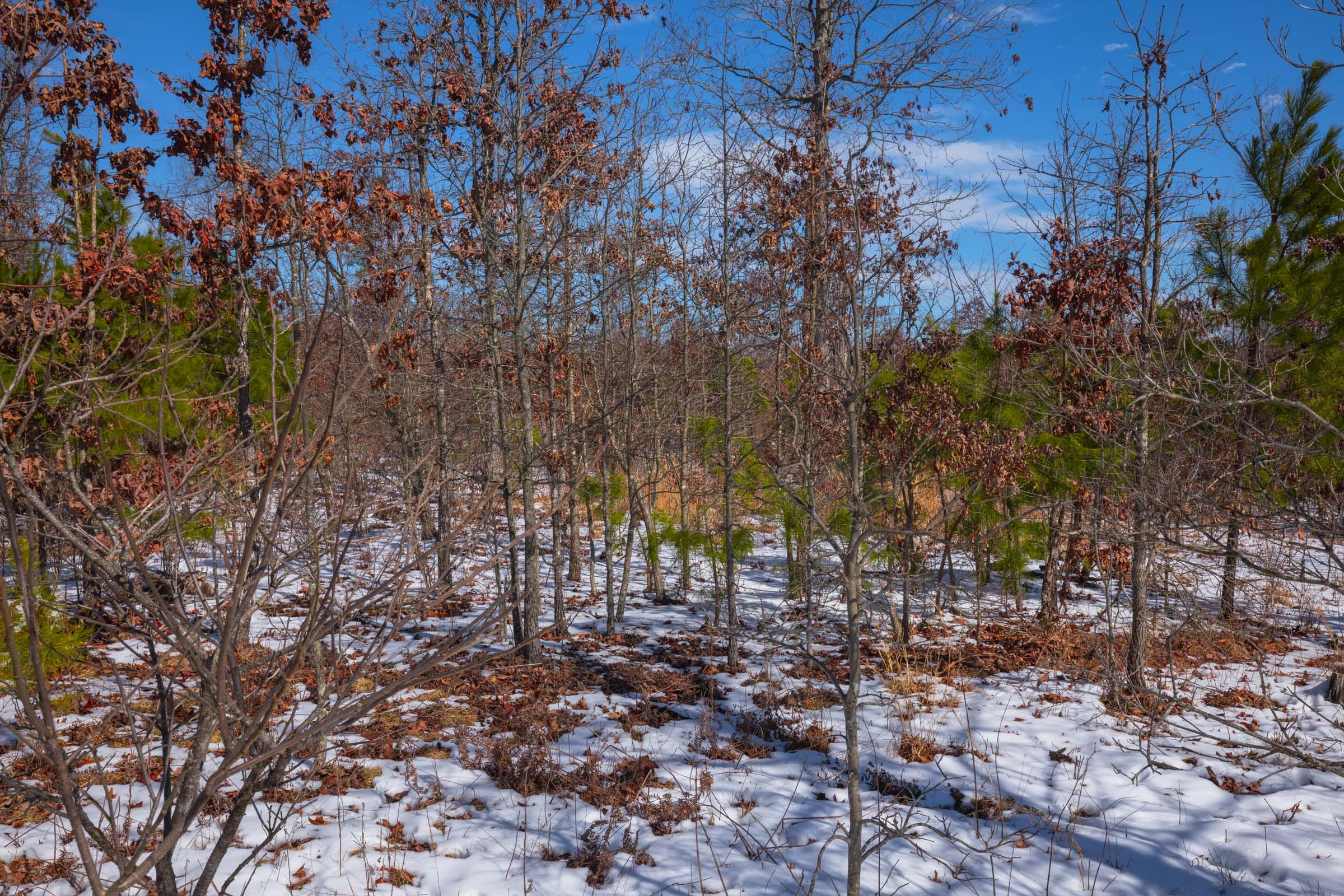 Sleepy Hollow Phase I Tract 57 photo 8