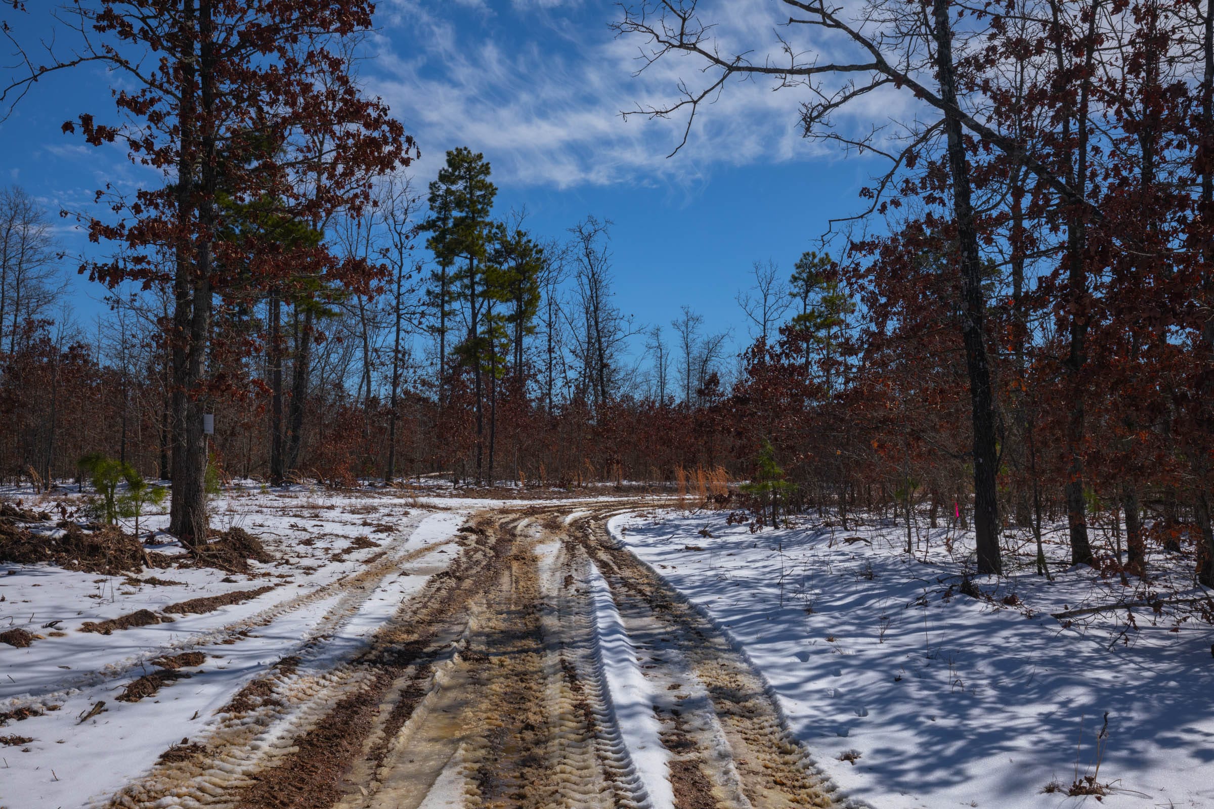 Sleepy Hollow Phase I Tract 57 photo 1