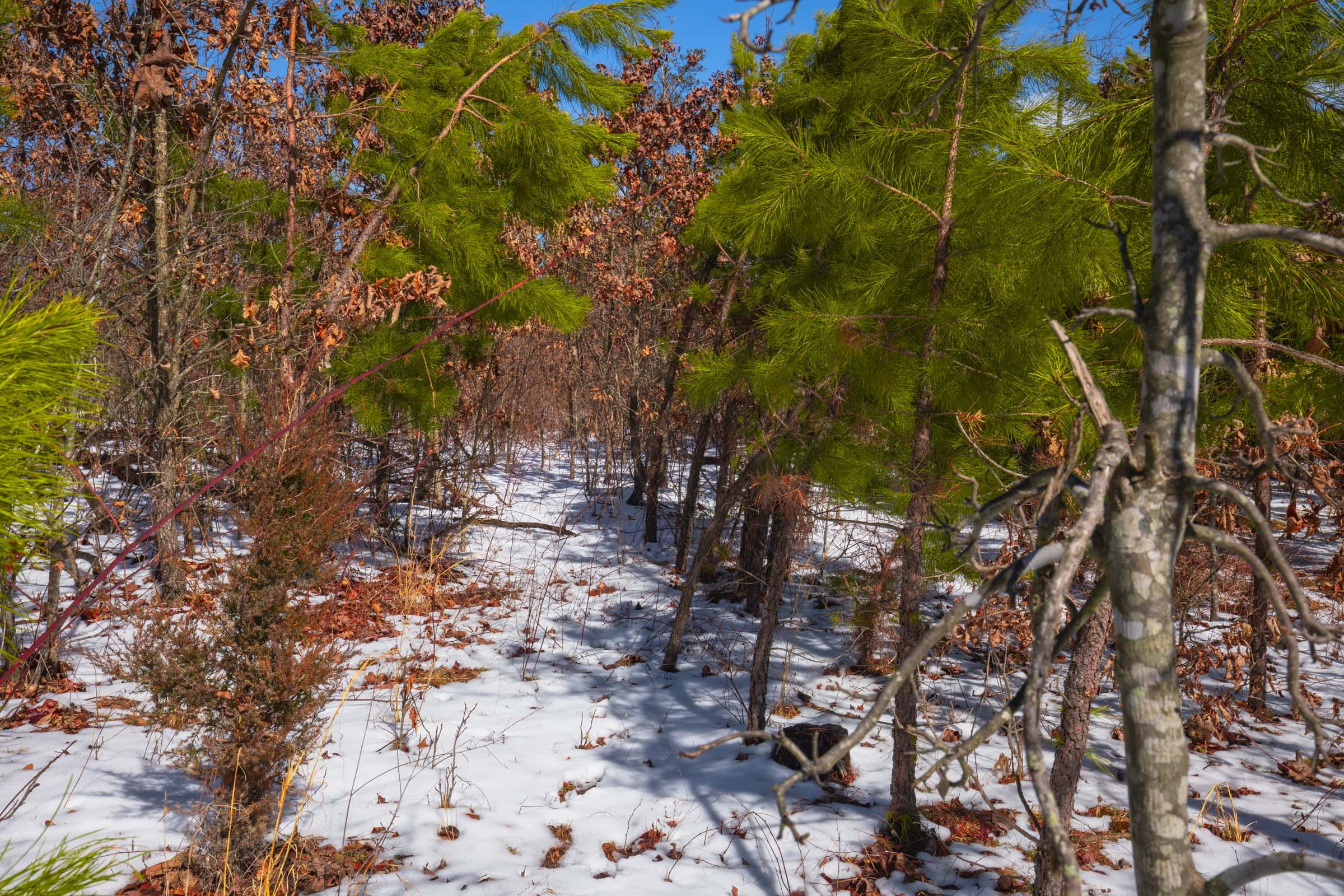 Sleepy Hollow Phase I Tract 57 photo 7