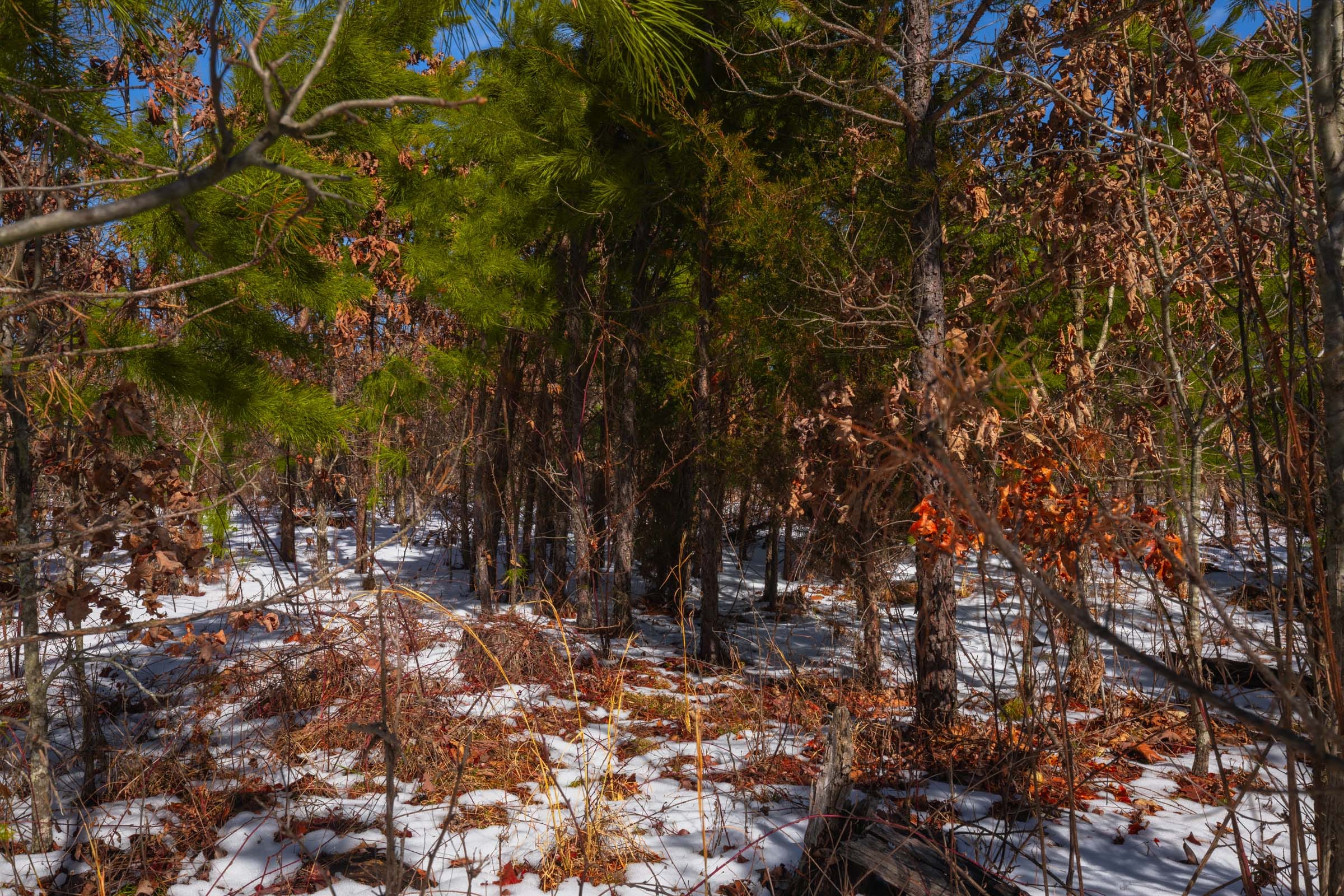 Sleepy Hollow Phase I Tract 57 photo 4