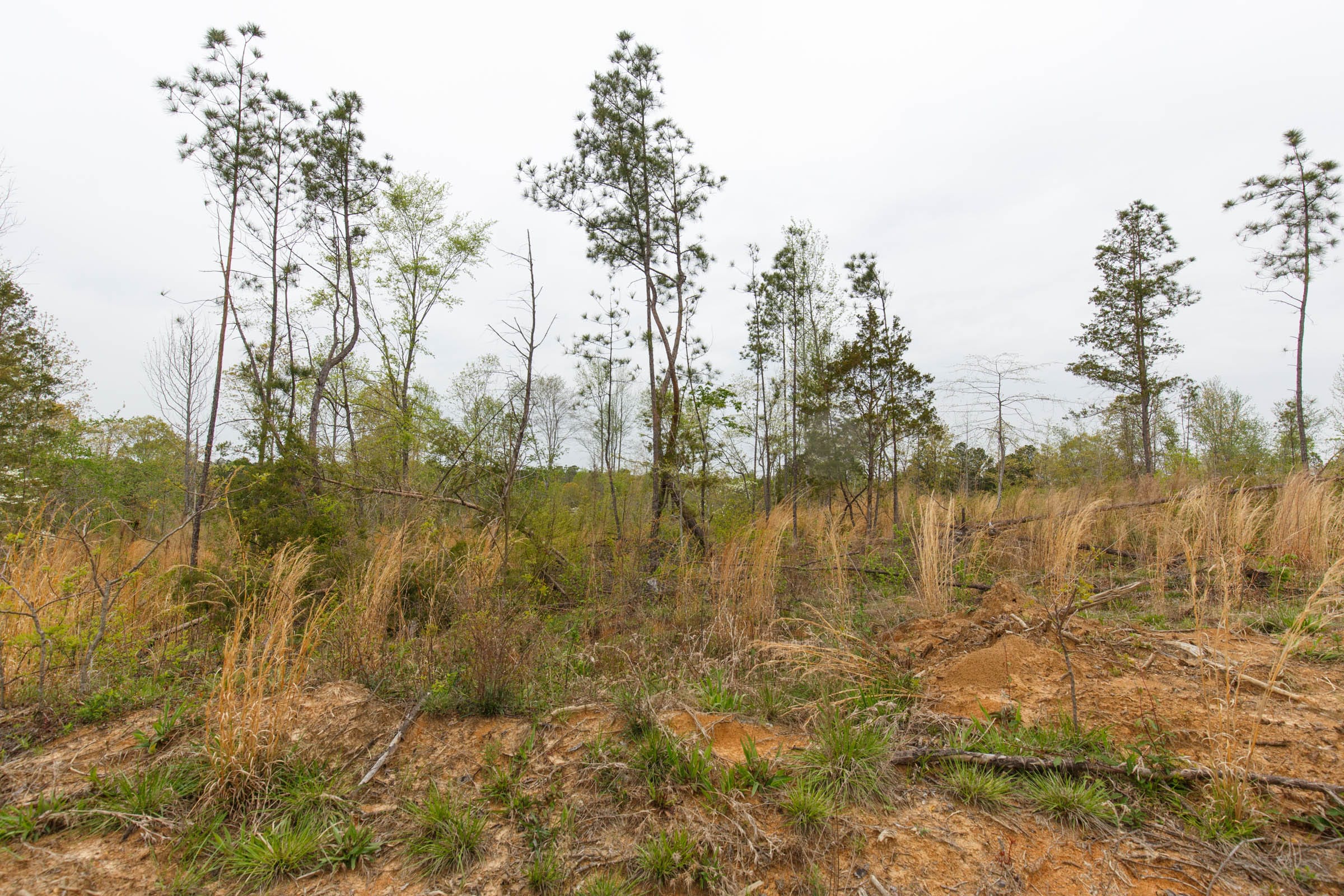 Twin Rivers Tract 25 photo 3
