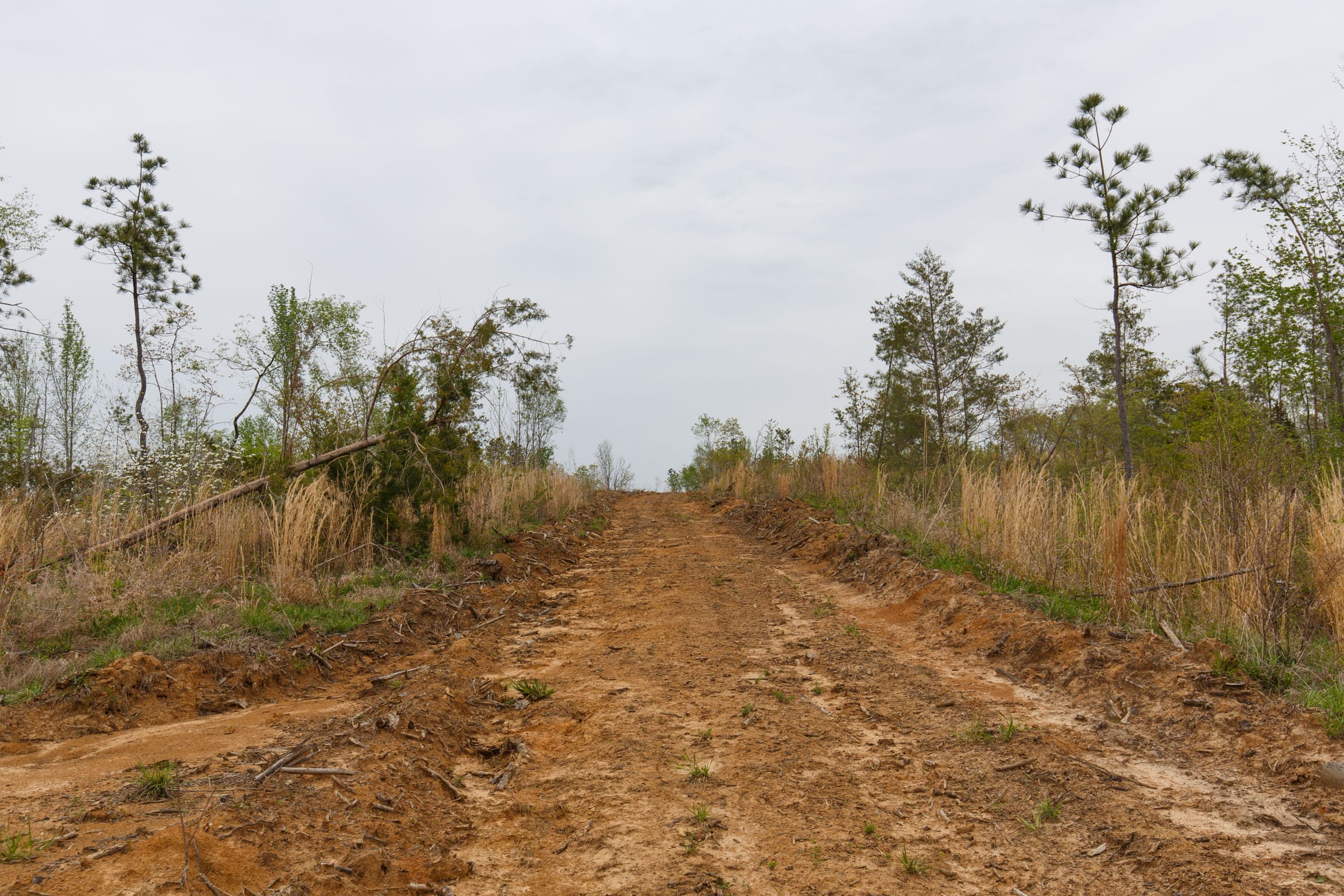 Twin Rivers Tract 25 photo 2