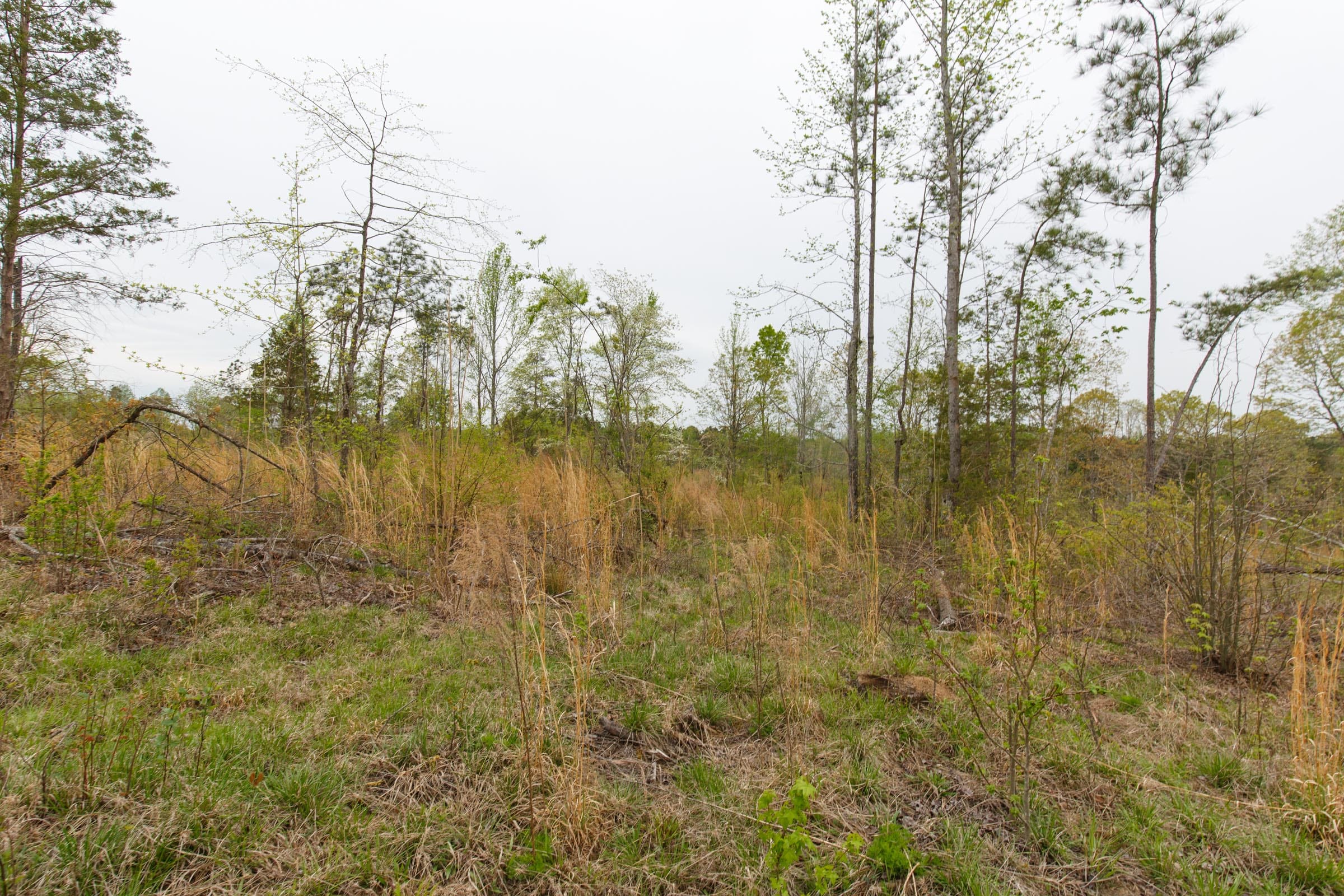 Twin Rivers Tract 25 photo 4