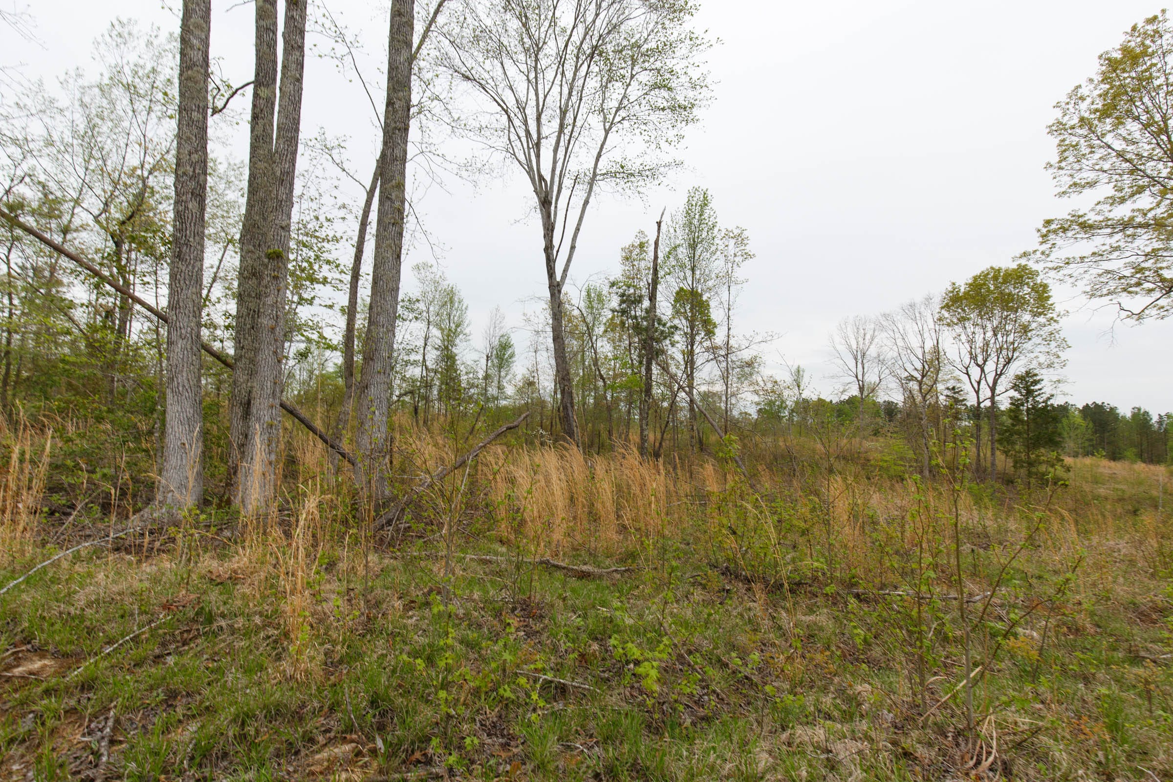 Twin Rivers Tract 25 photo 6