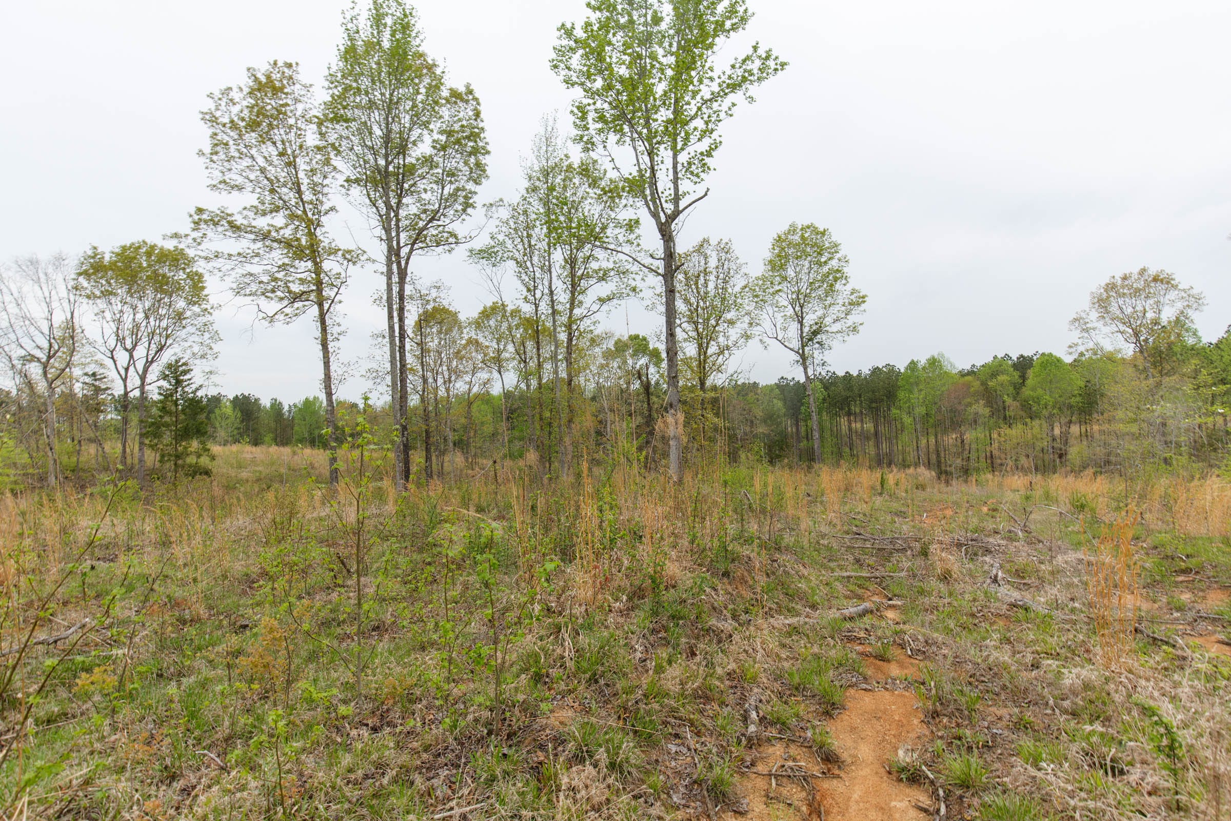 Twin Rivers Tract 25 photo 5