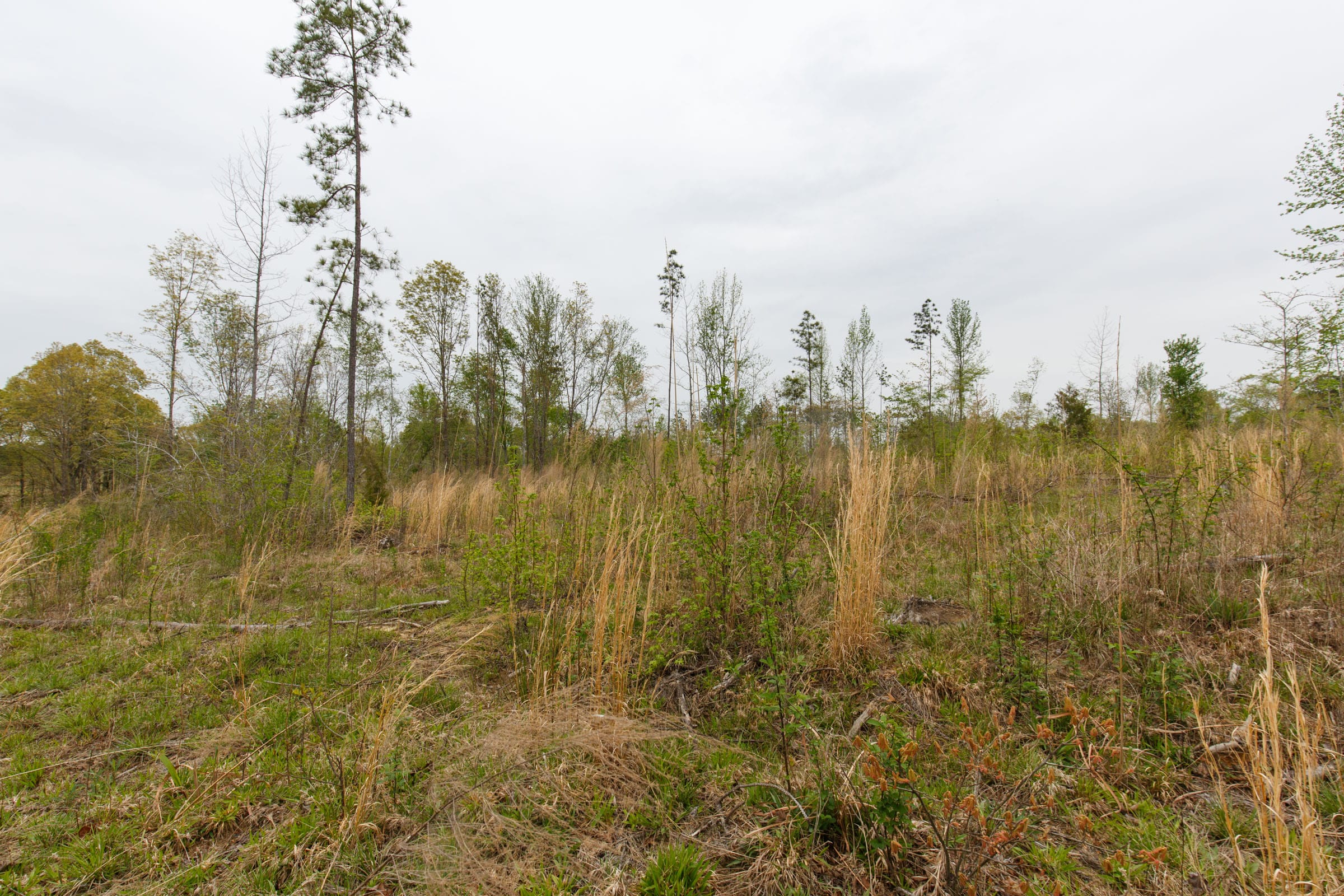 Twin Rivers Tract 25 photo 9