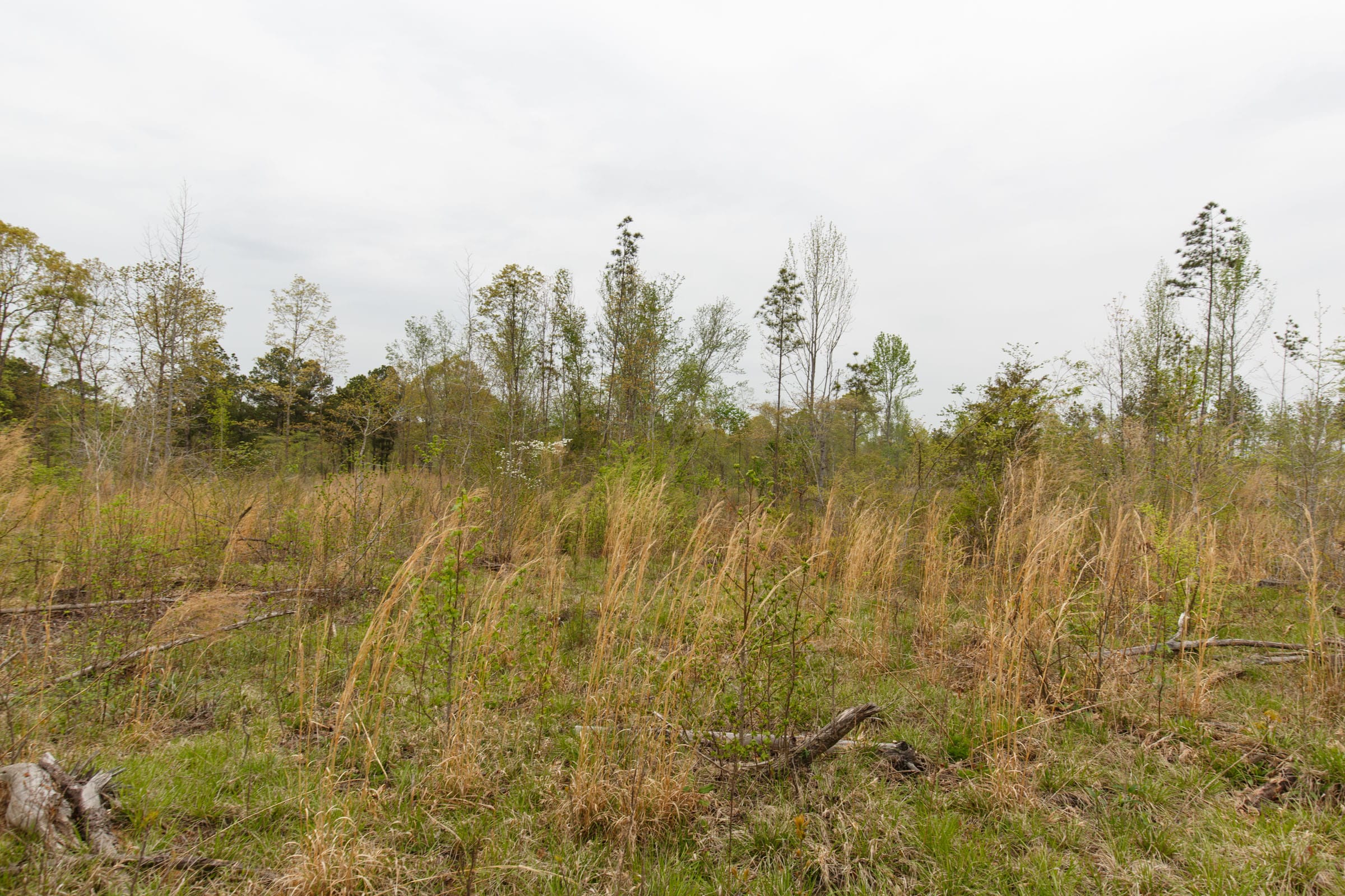 Twin Rivers Tract 25 photo 11