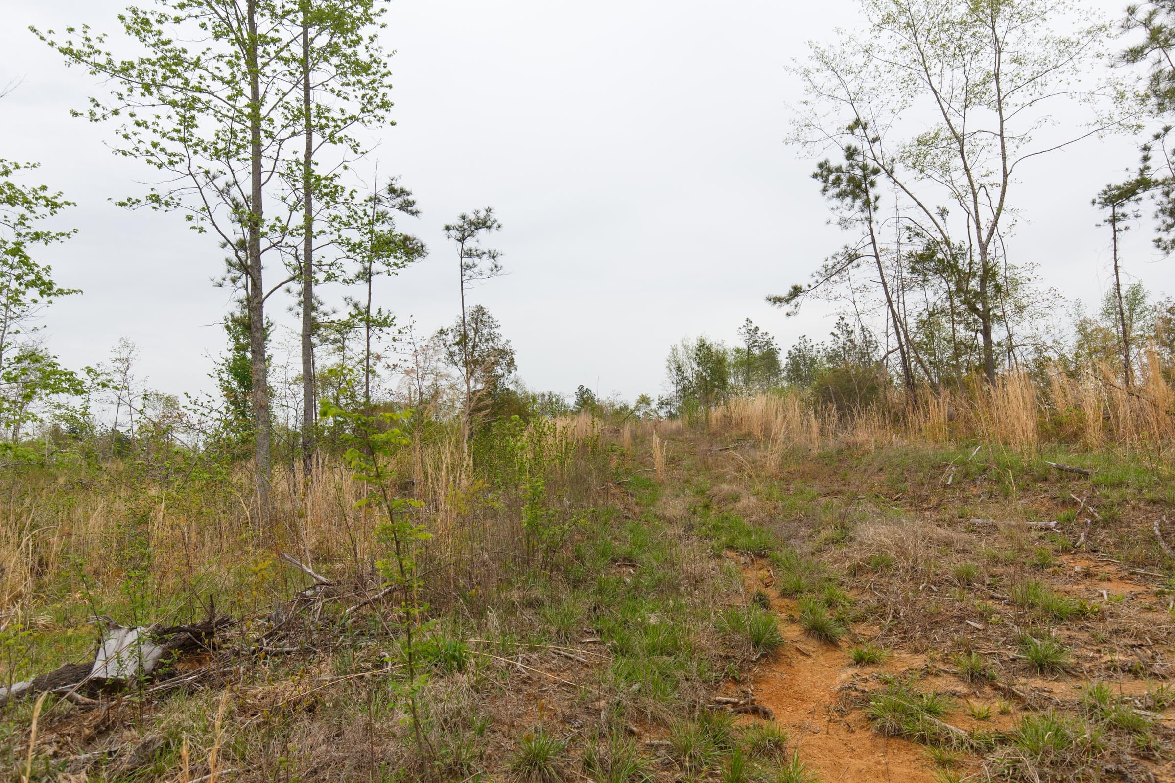 Twin Rivers Tract 25 photo 10