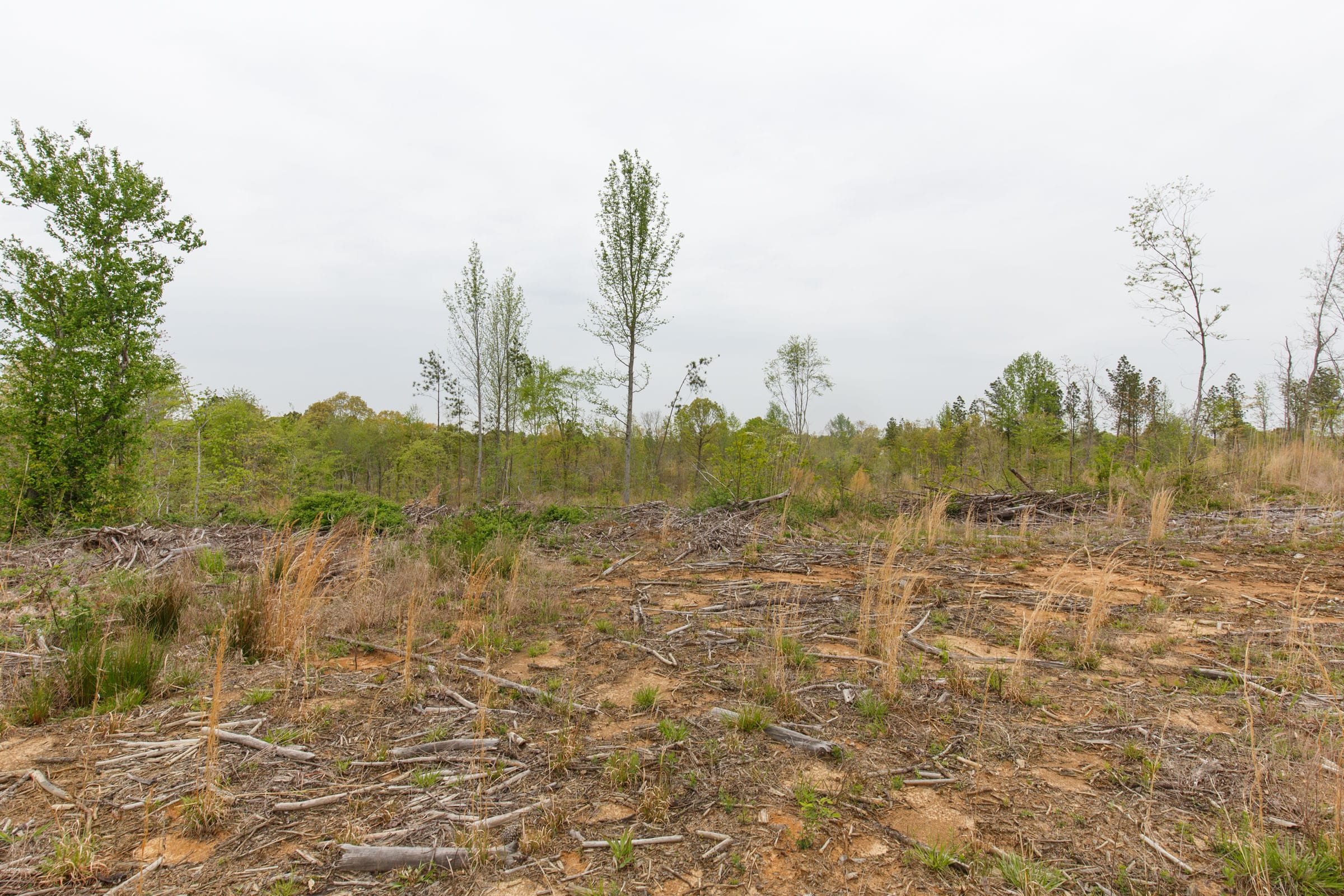 Twin Rivers Tract 25 photo 12