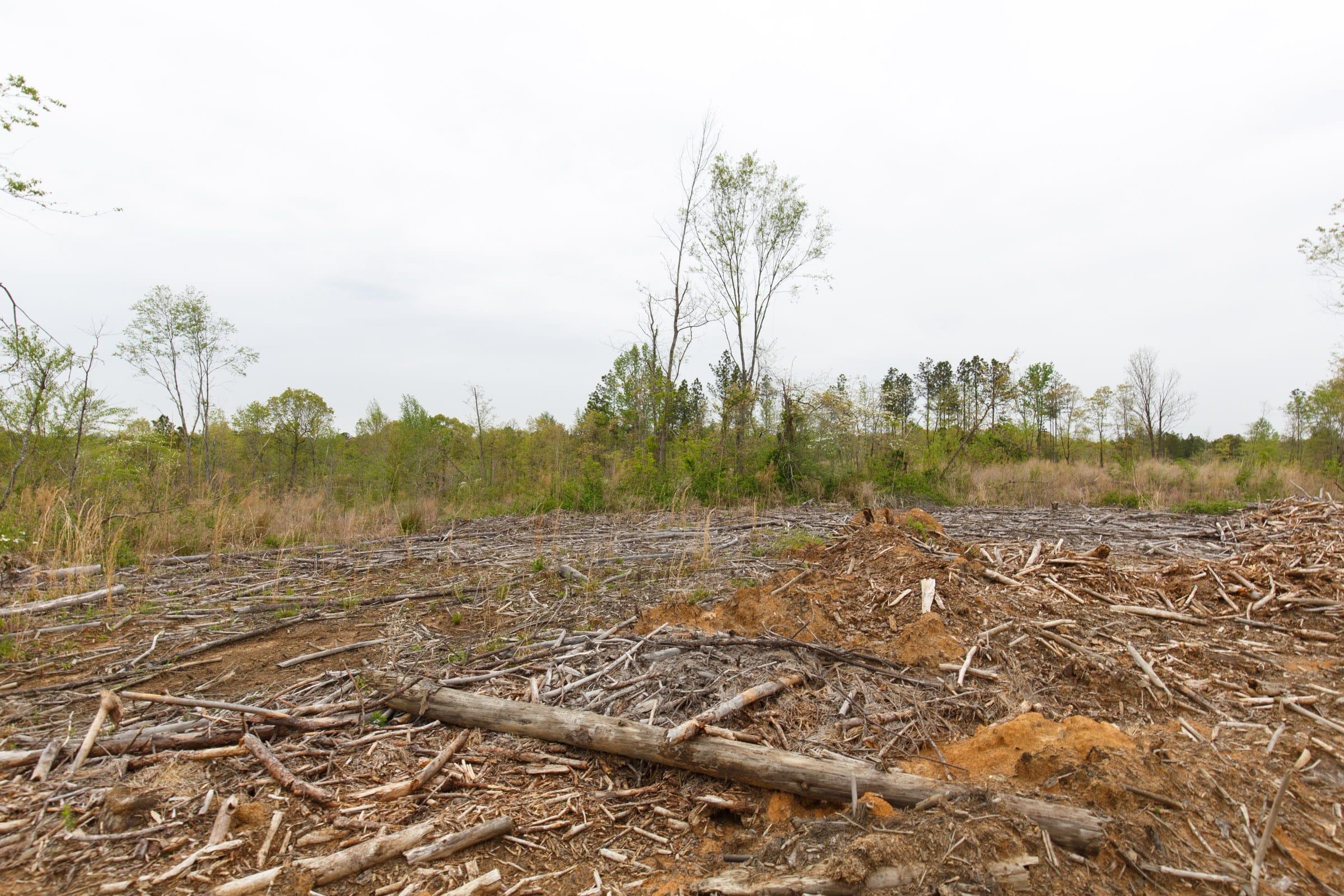 Twin Rivers Tract 25 photo 13