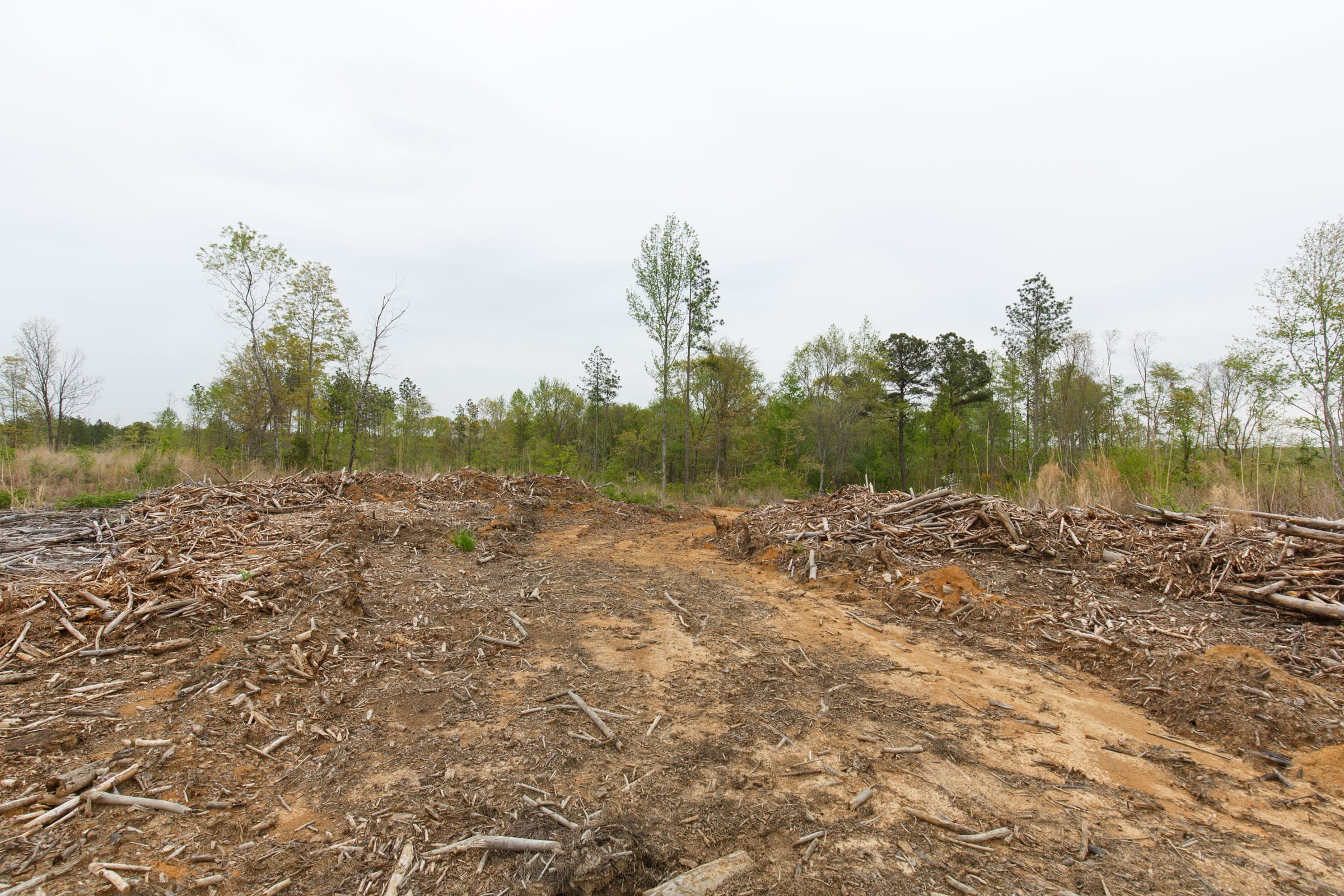 Twin Rivers Tract 25 photo 8