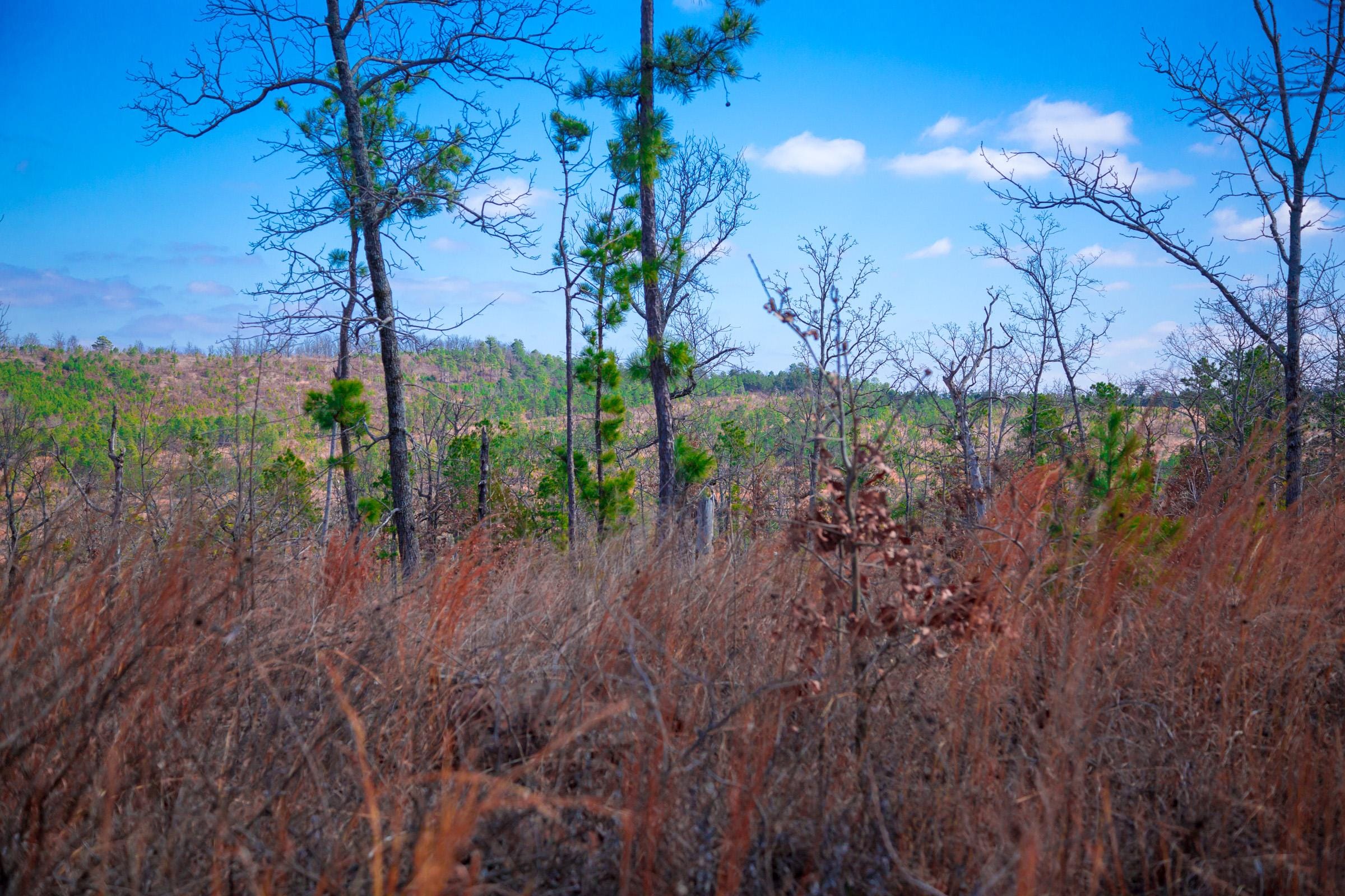 Stone Creek Phase II Tract 202 photo 2
