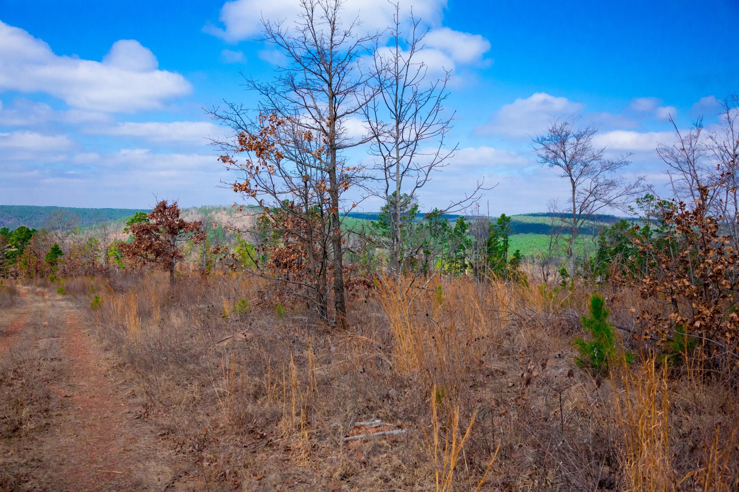 Stone Creek Phase II Tract 202 photo 3