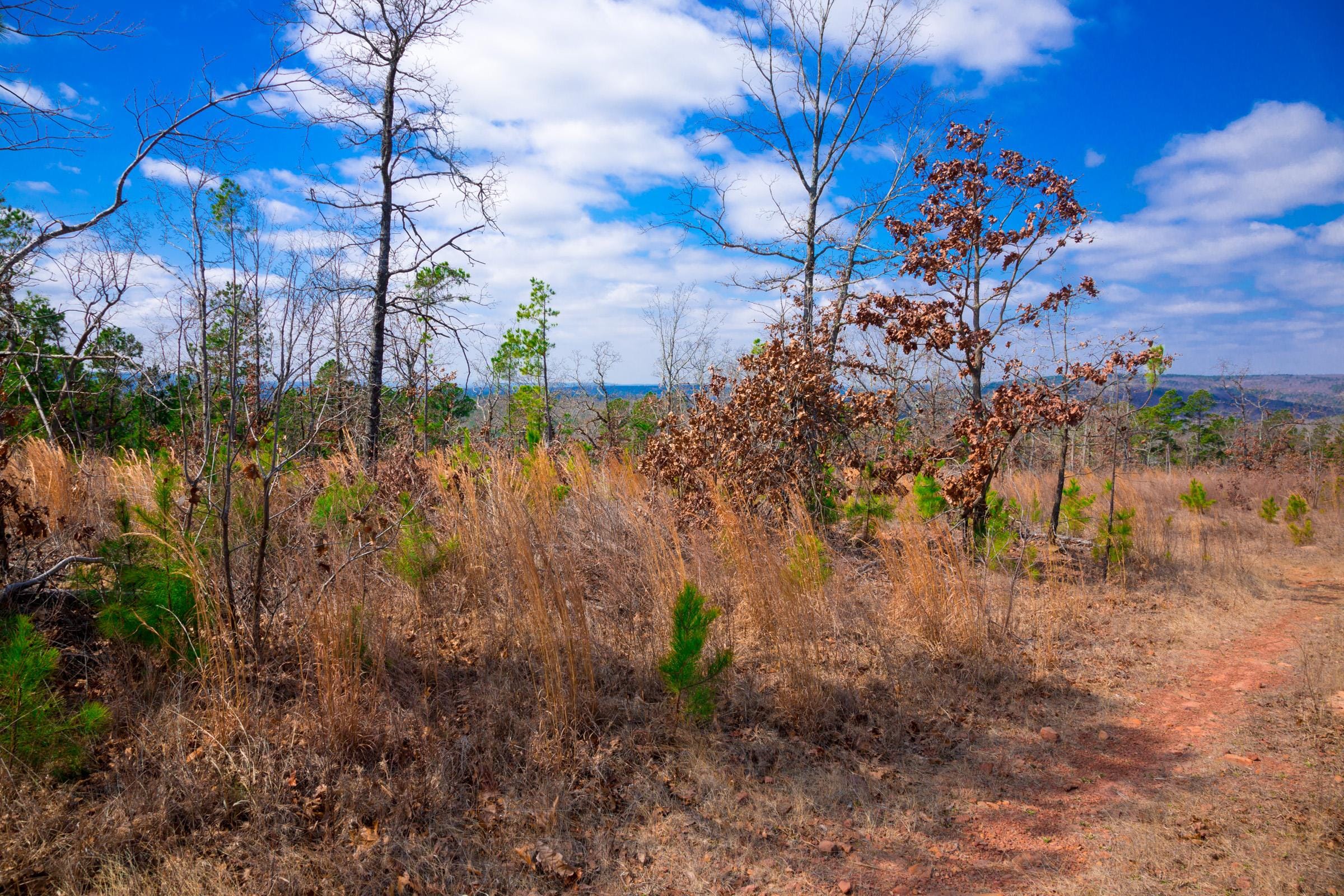 Stone Creek Phase II Tract 202 photo 5