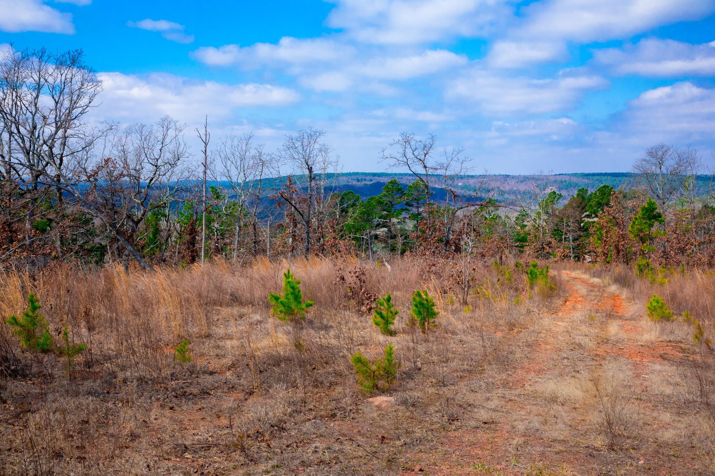 Stone Creek Phase II Tract 202 photo 8