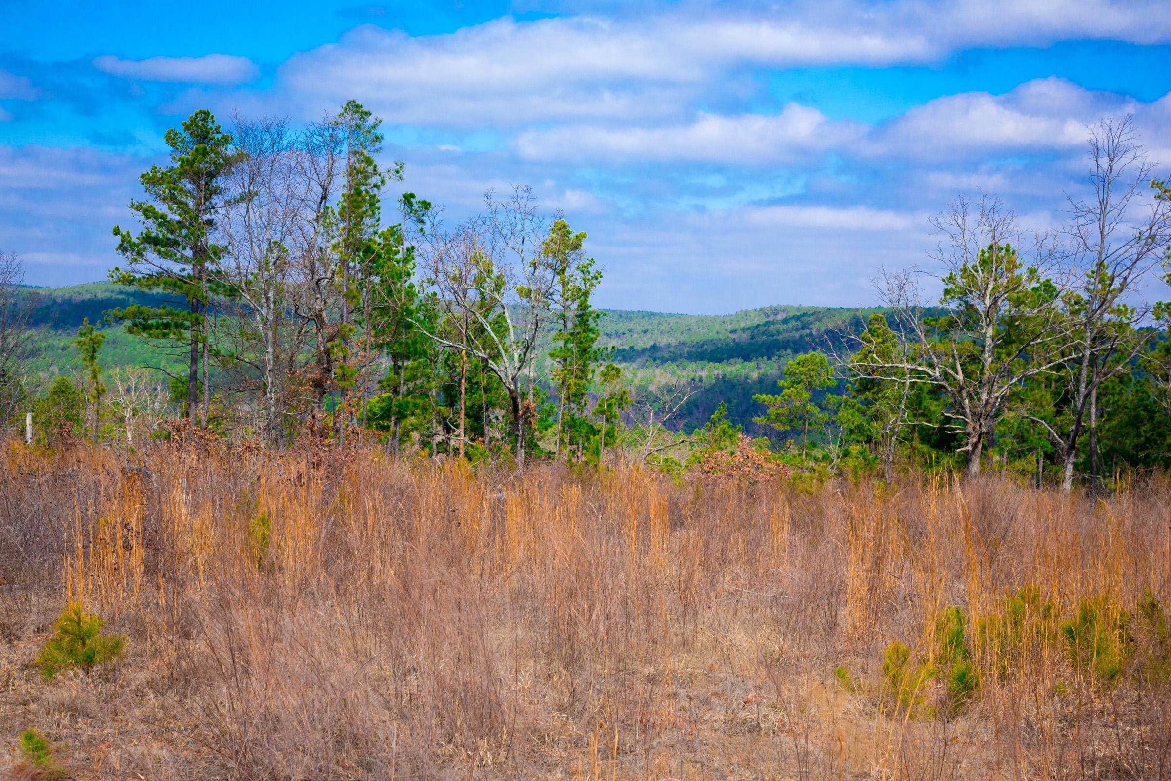 Stone Creek Phase II Tract 202 photo 9
