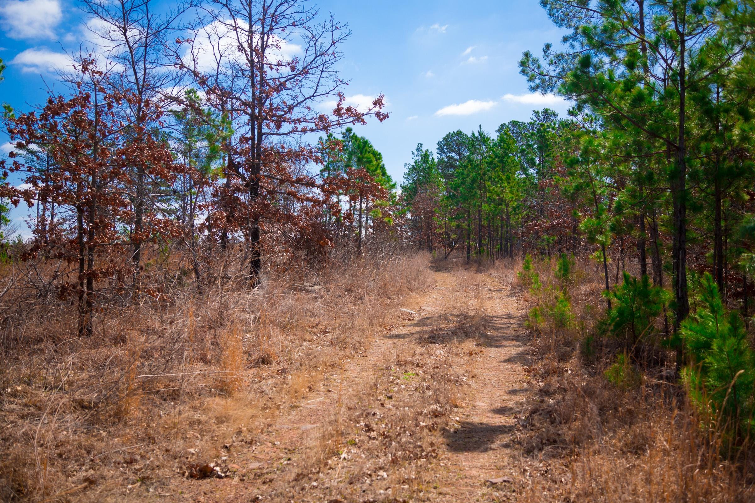 Stone Creek Phase II Tract 202 photo 12