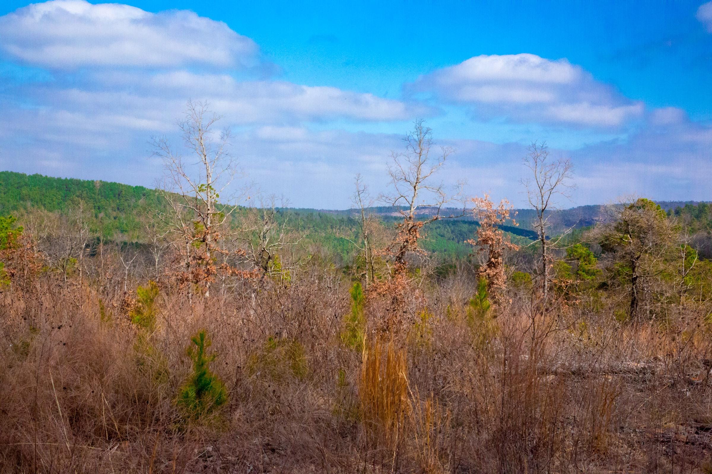 Stone Creek Phase II Tract 202 photo 14
